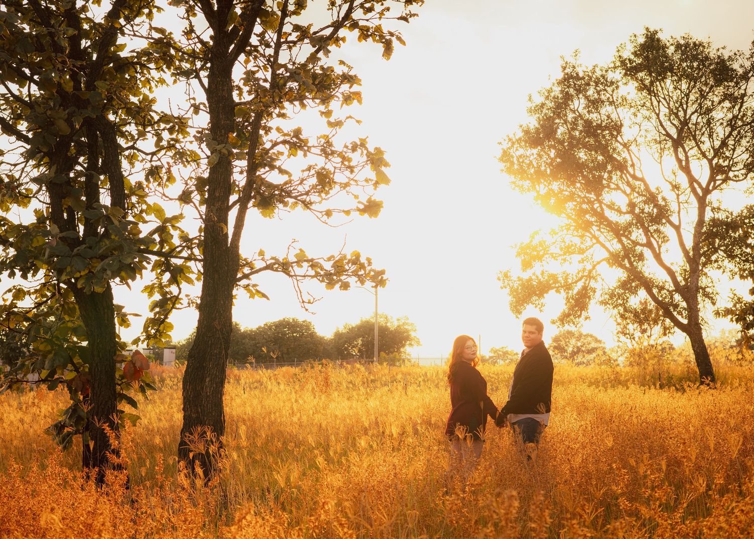 Silhouettes of people walking through golden grass field at sunset with trees in background.
