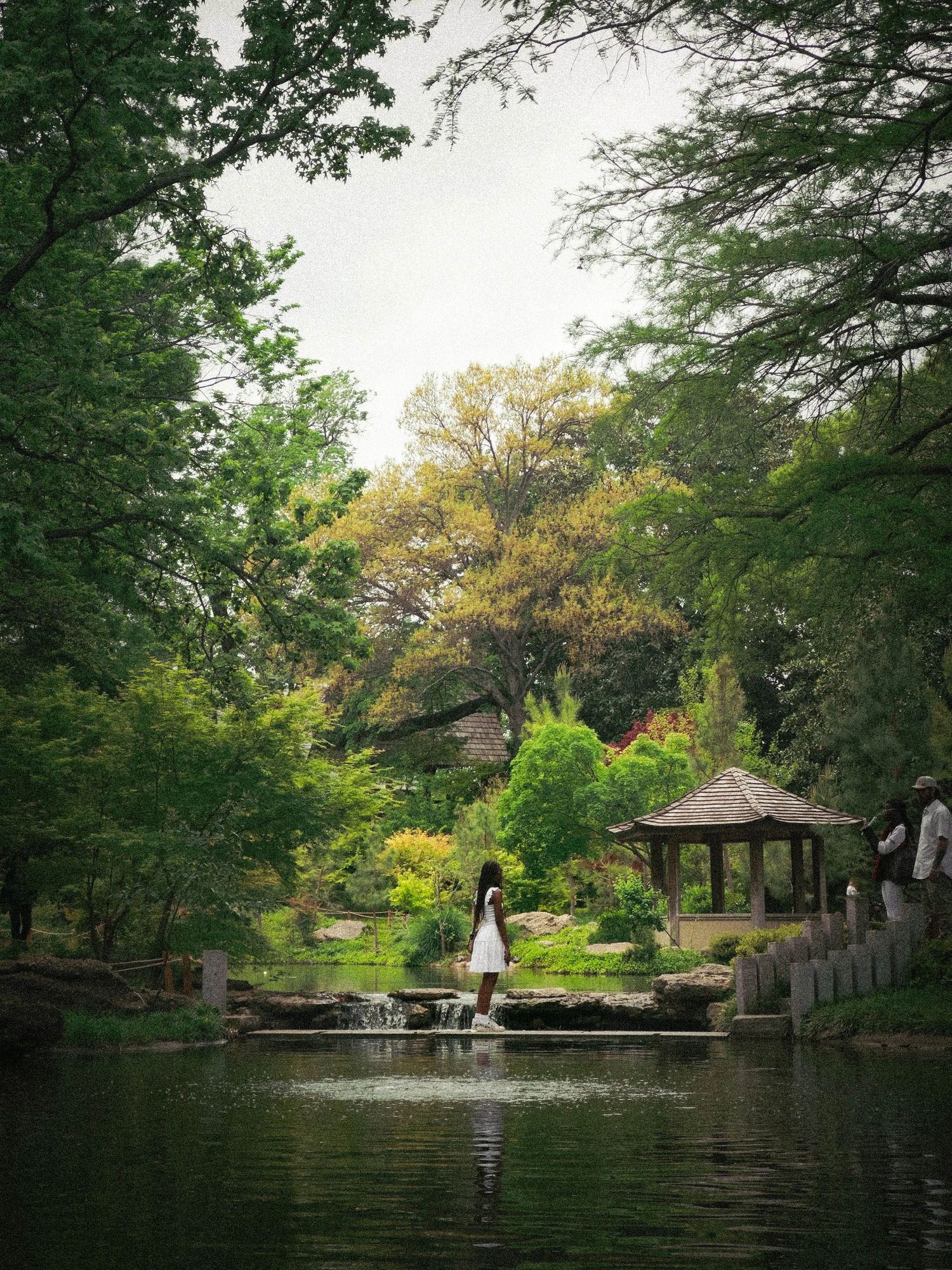 Scenic panorama of a serene garden pond with gazebo and waterfall features.