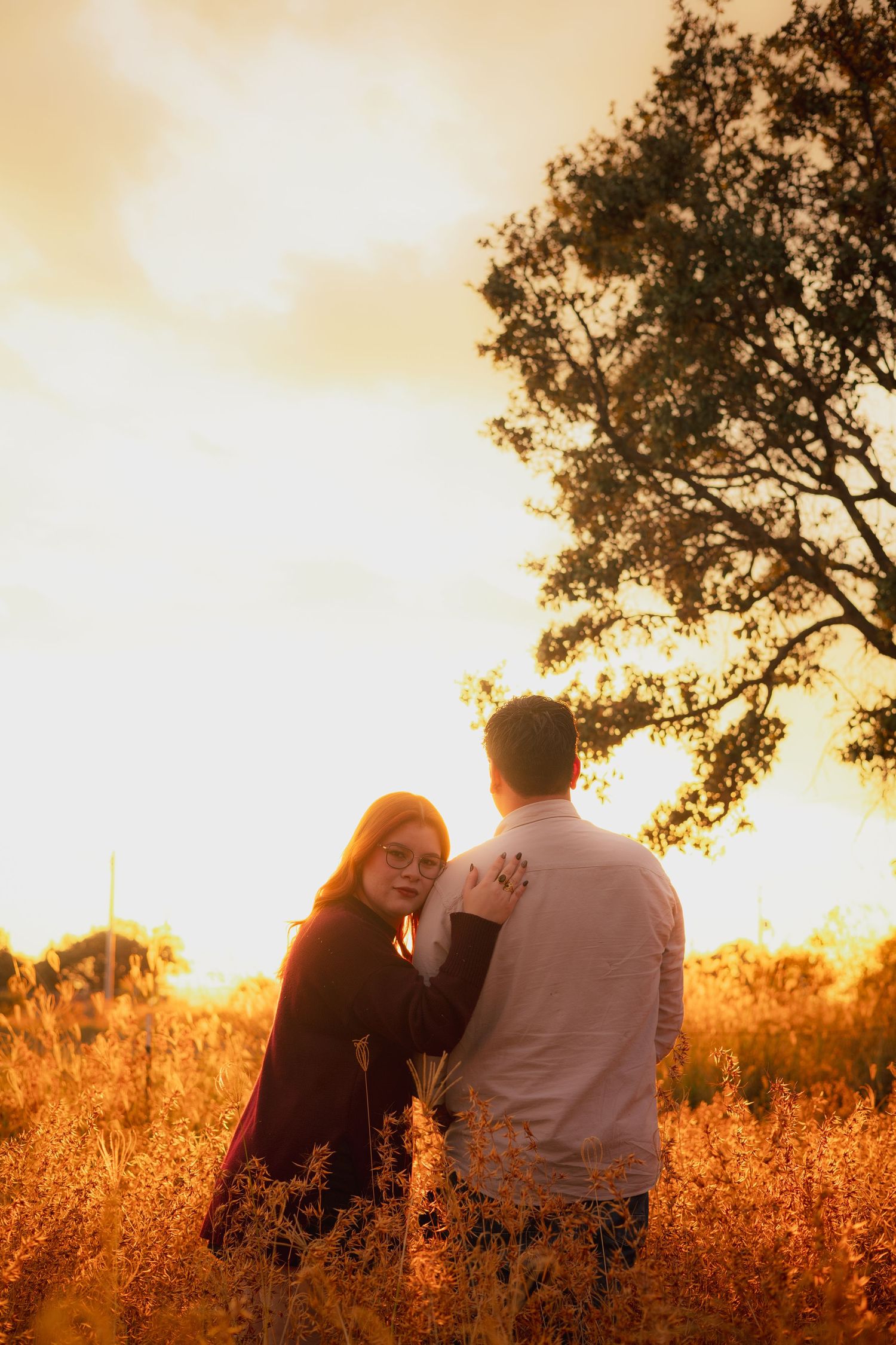 A couple sits together in a golden field at sunset as warm sunlight filters through trees in the background.