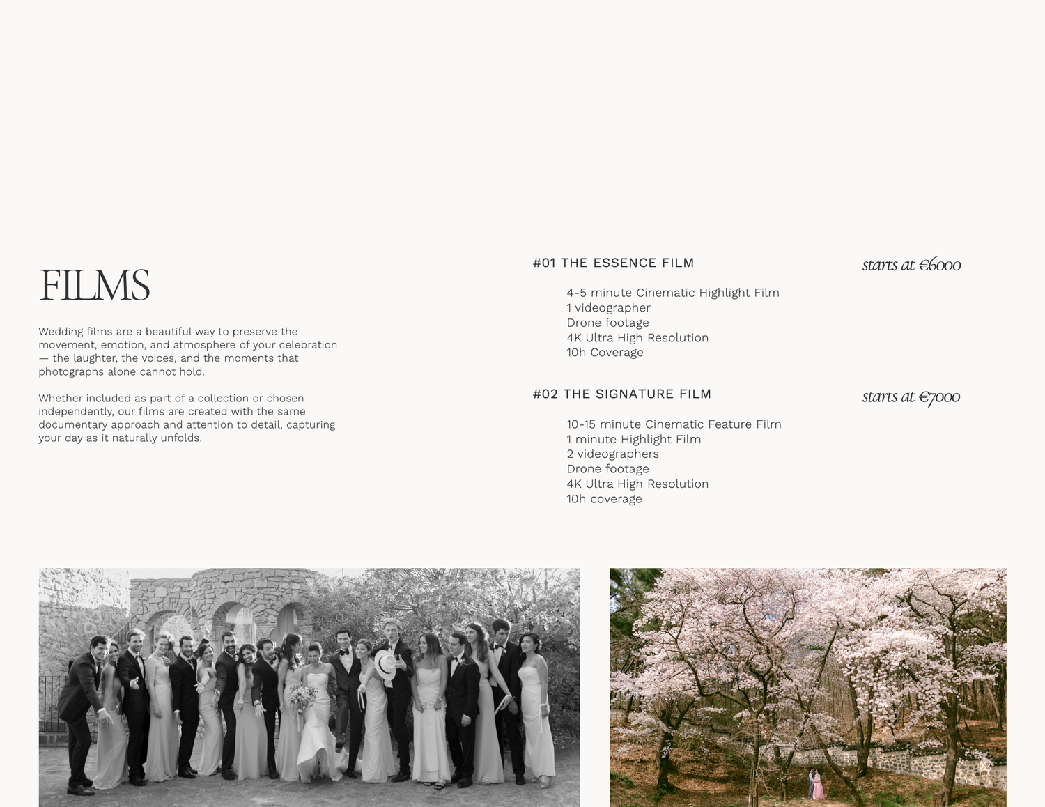 Black and white wedding party photo beside cherry blossom trees, showcasing elegant film photography packages.