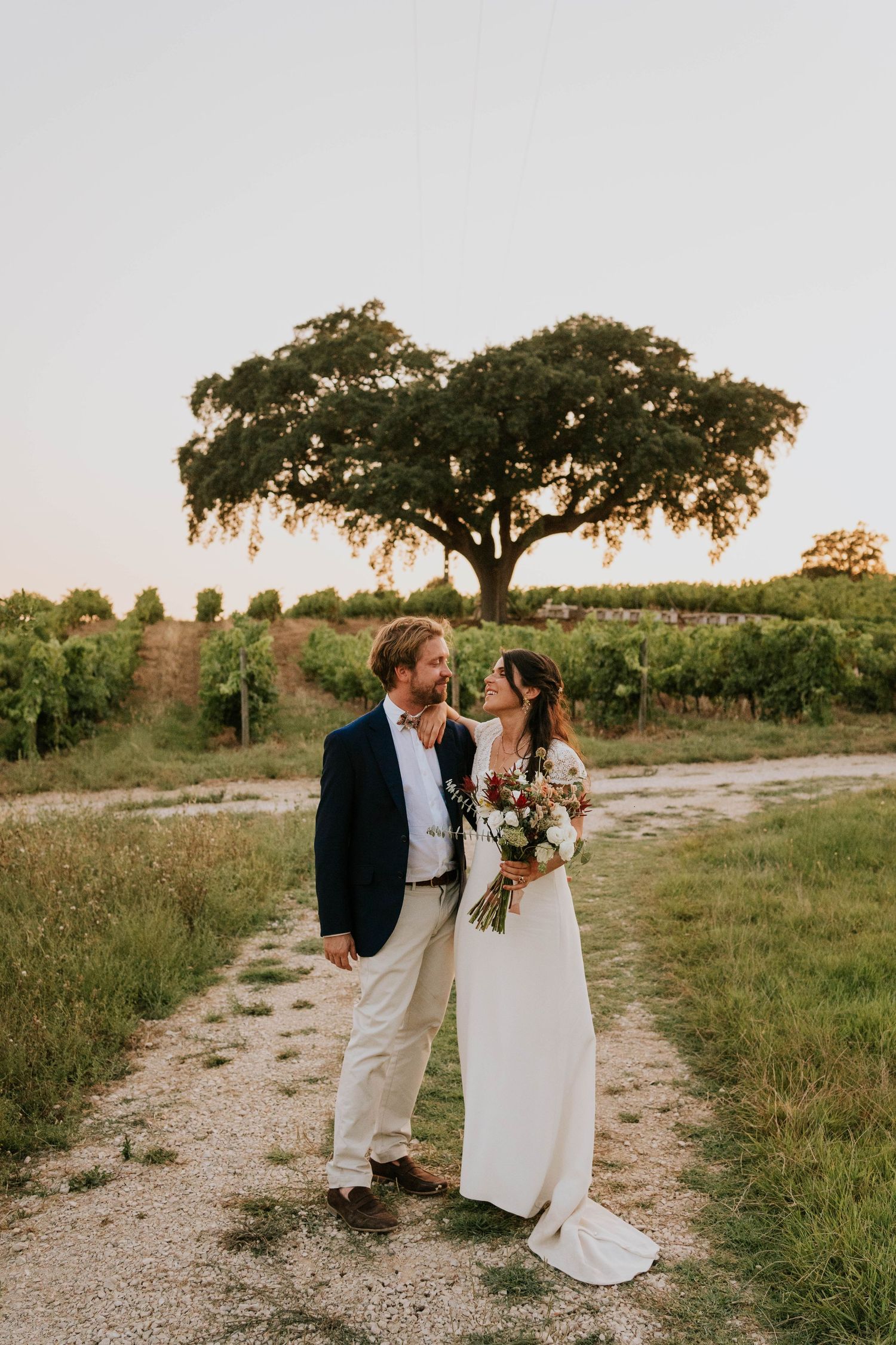 Couple in wedding attire sharing a romantic moment in a vineyard with a large oak tree at golden hour.