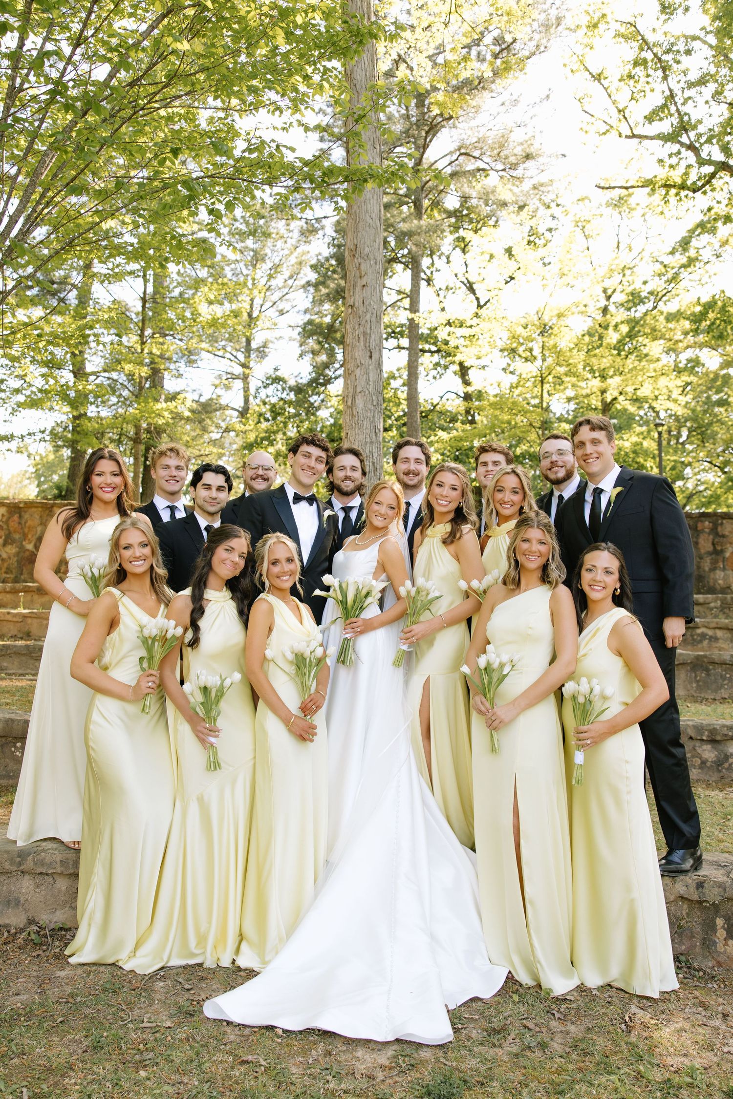 Wedding party in yellow bridesmaid gowns and black tuxedos posing outdoors among trees.