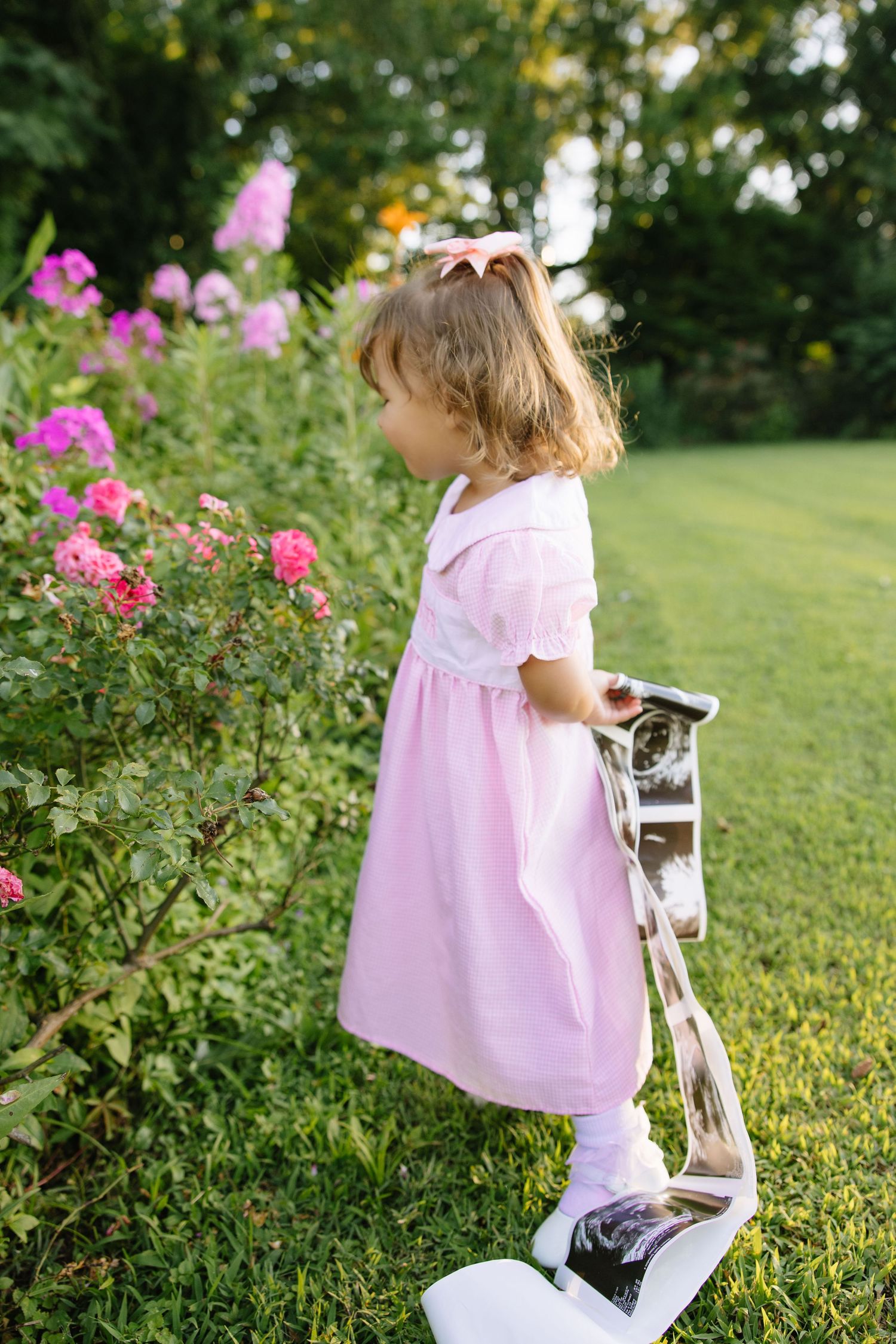 Toddler girl in pink dress with bow explores rose garden while holding a balance bike outdoors.