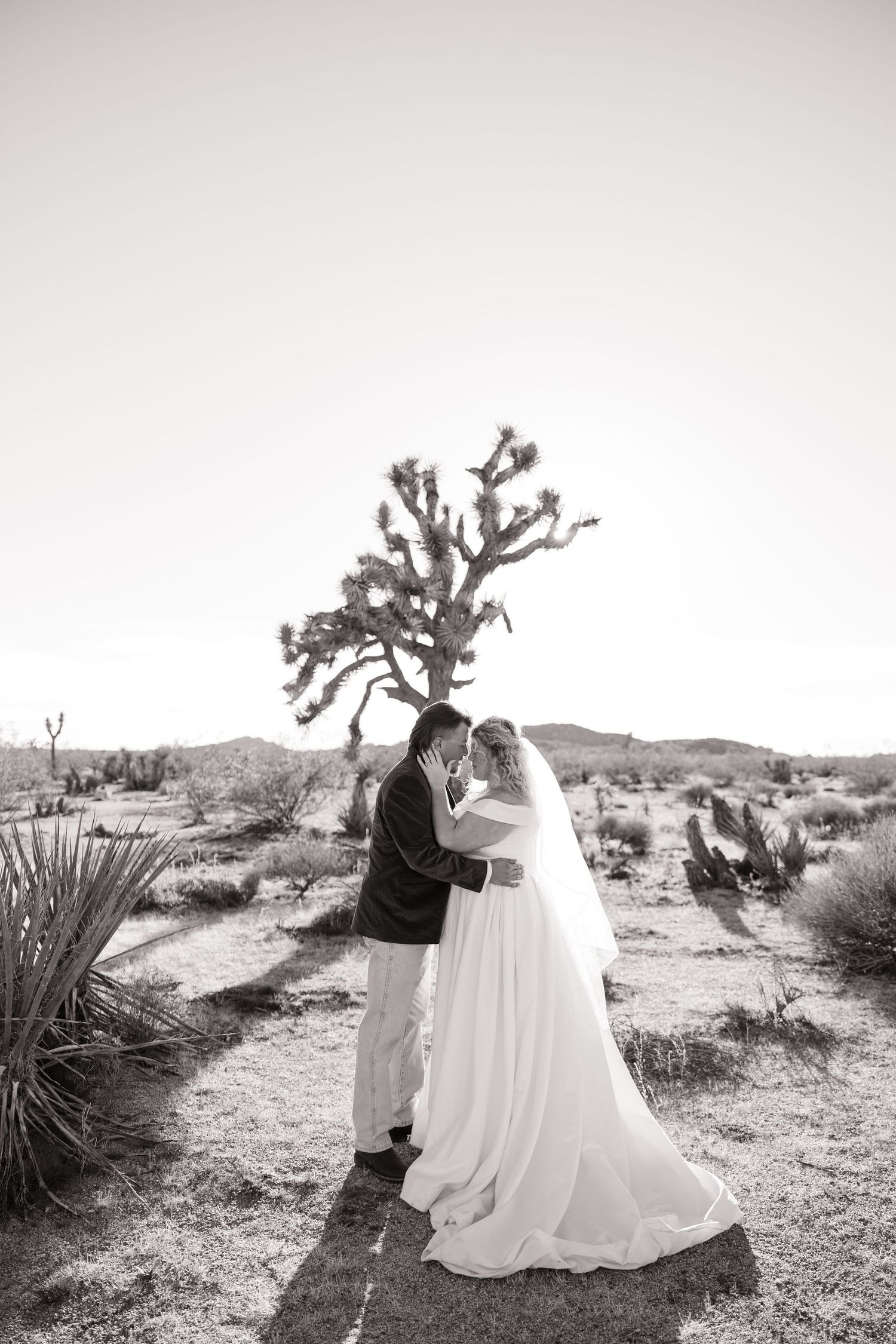 Black and white desert wedding photography session among Joshua trees and desert plants.