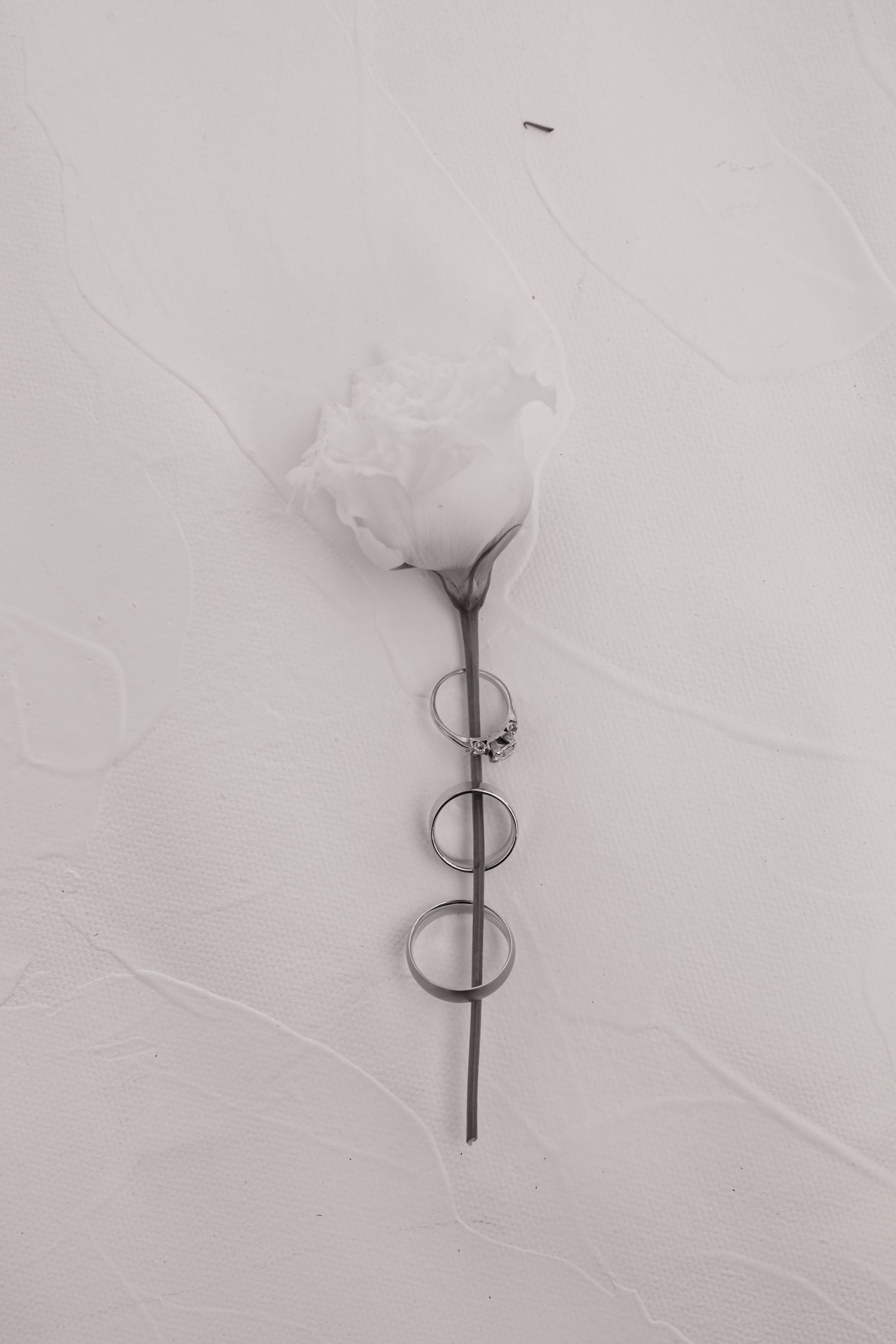 A collection of vintage-style scissors arranged on a white textured background.