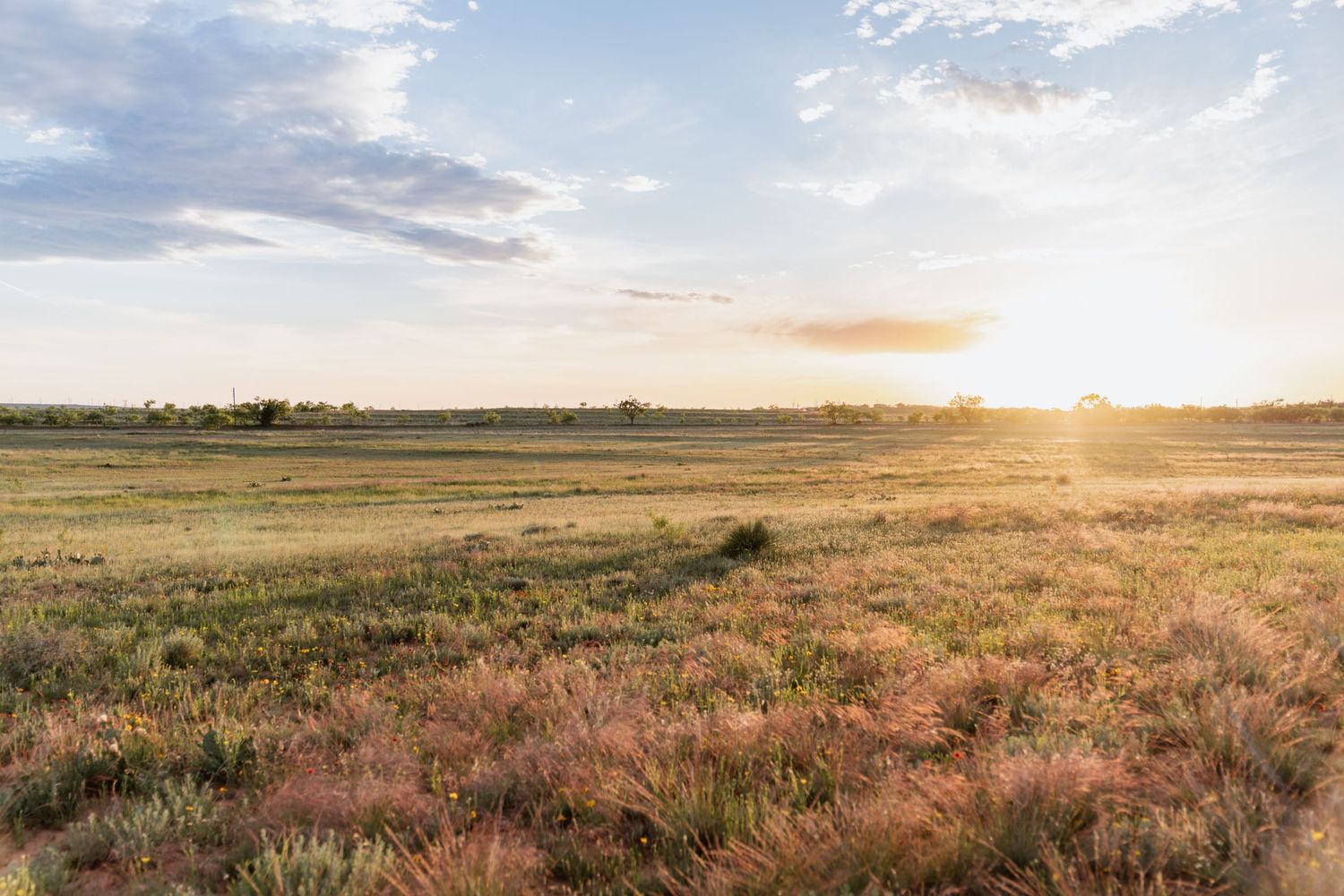 Sunset session in Sweetwater, Texas