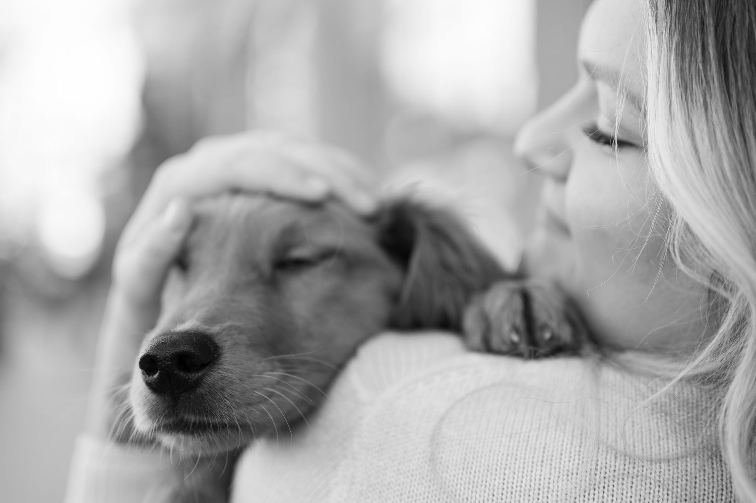 Photos with a puppy in Boise, idaho
