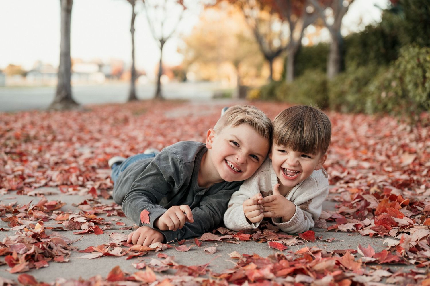 2 young brothers laughing in fall leaves, meridian, Idaho