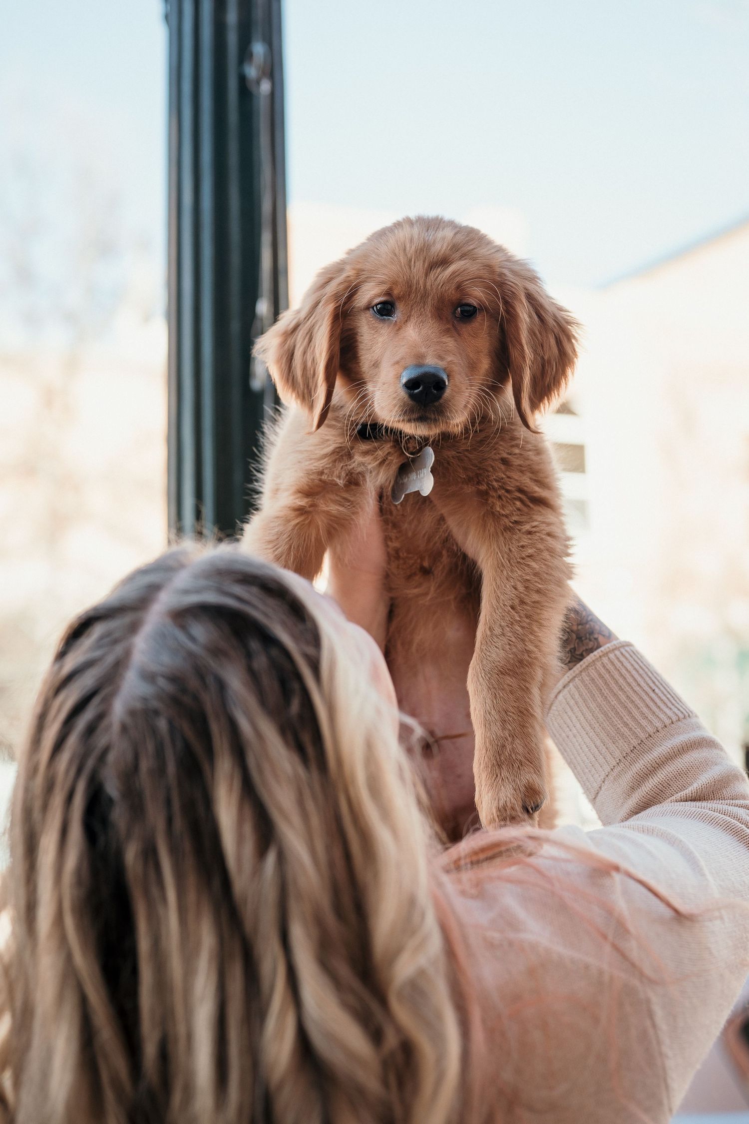 Photos with a puppy in Boise, idaho