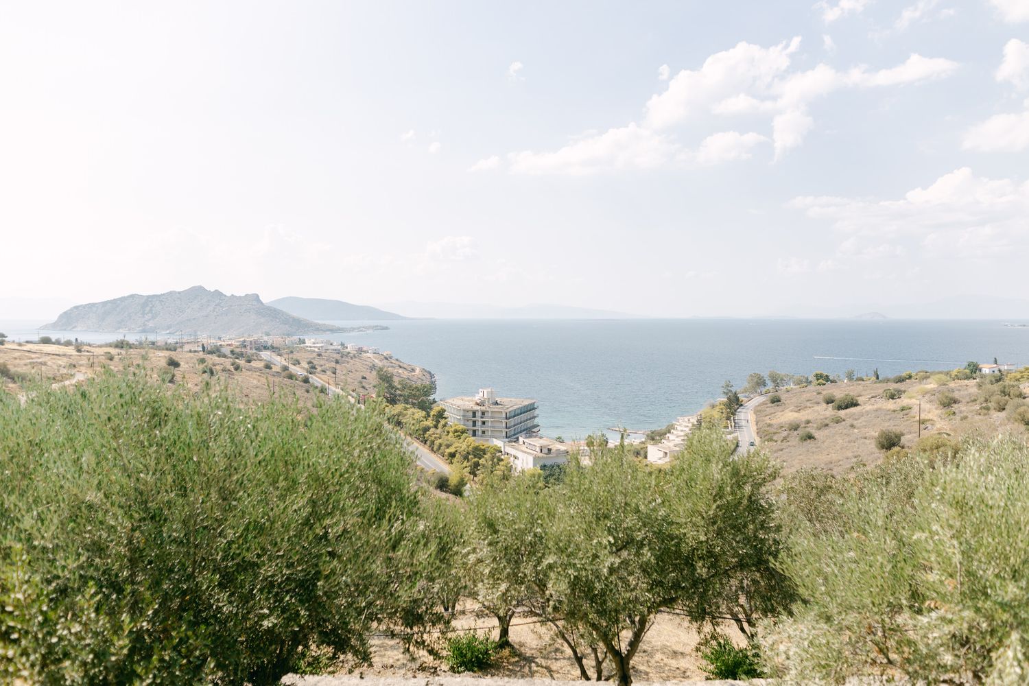 Scenic Mediterranean coastal landscape with olive trees overlooking blue waters and distant mountains.