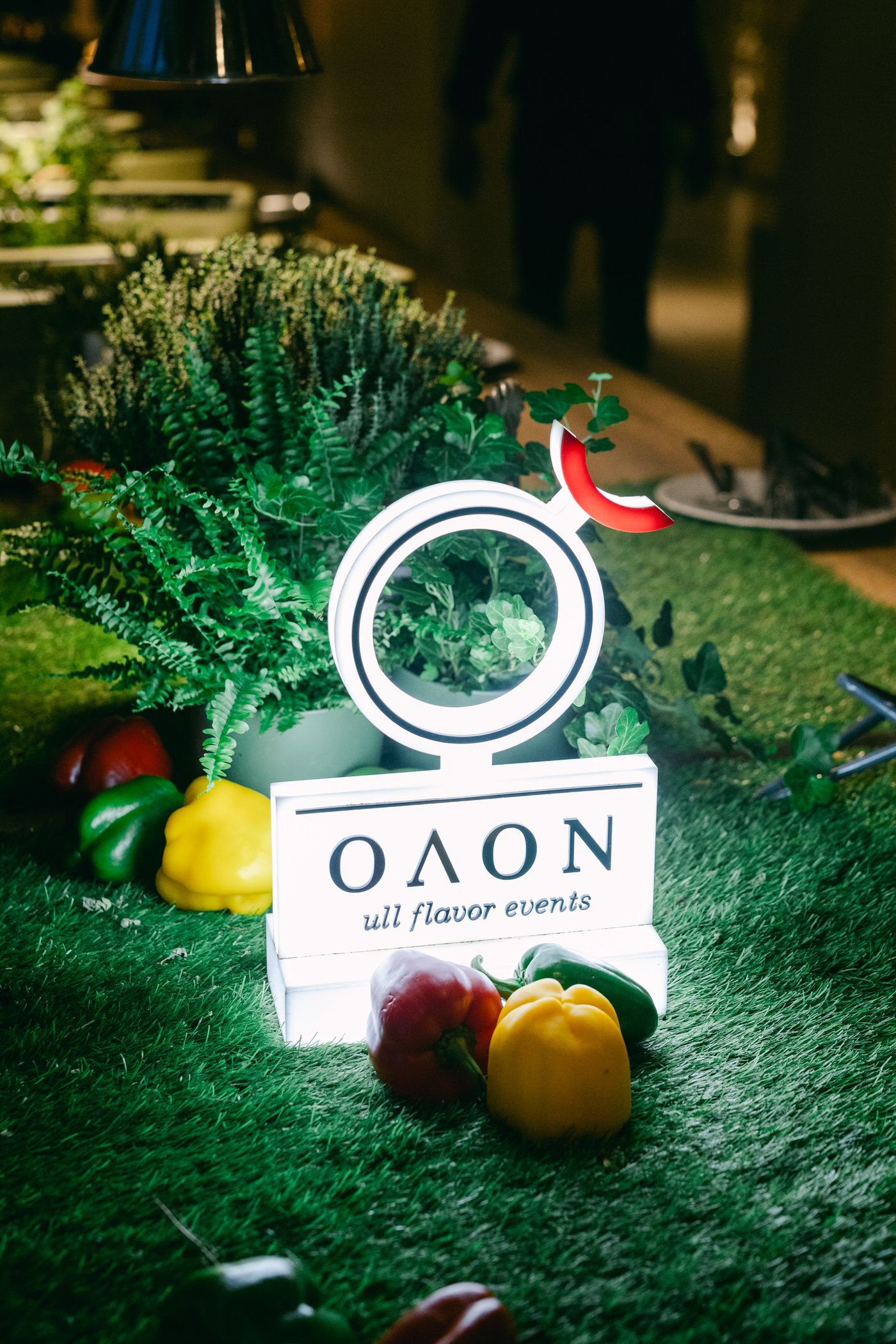 A Oaon brand logo display with fresh fruits and greenery on dark green textured surface.