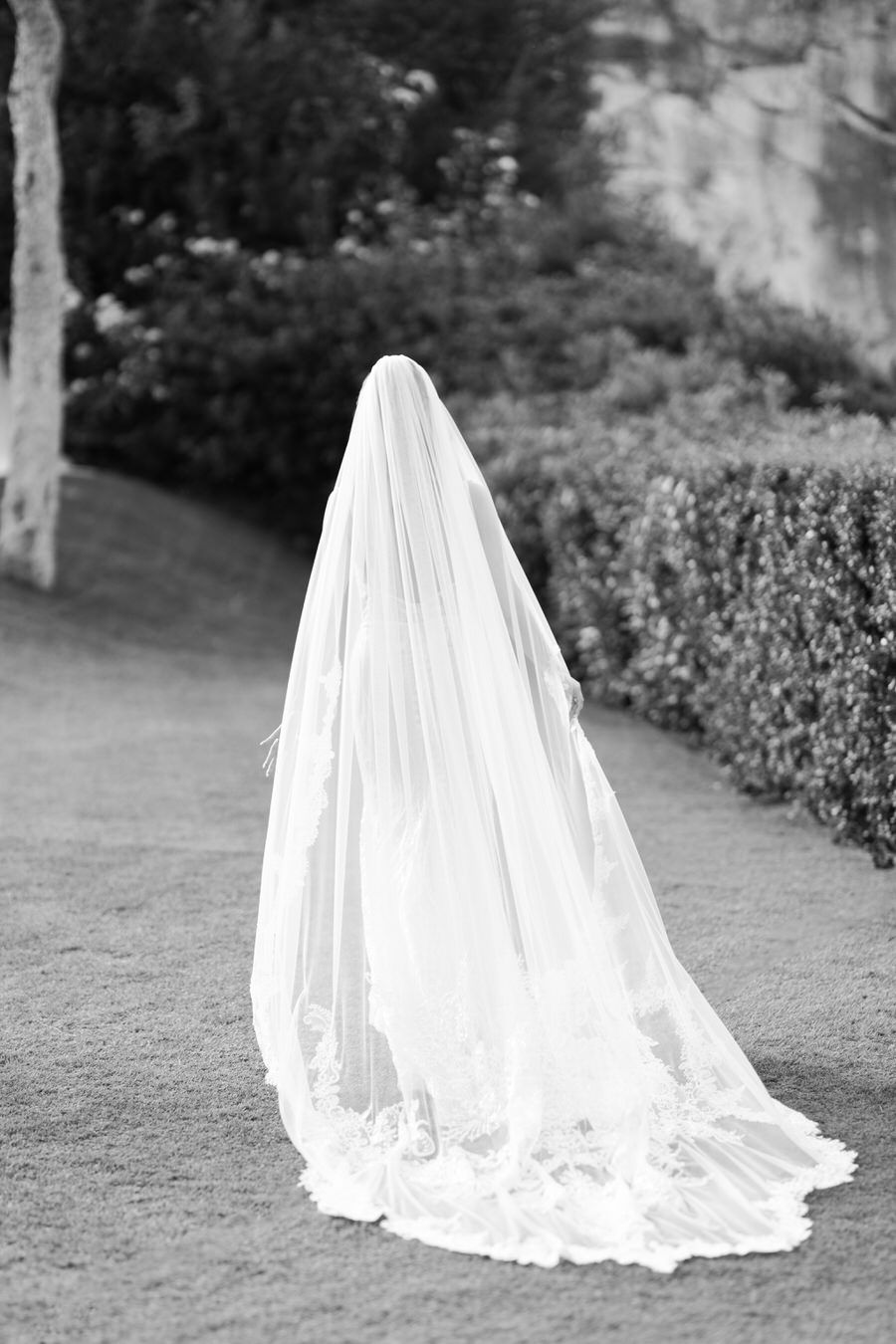 Black and white portrait of flowing cathedral veil against garden landscape.