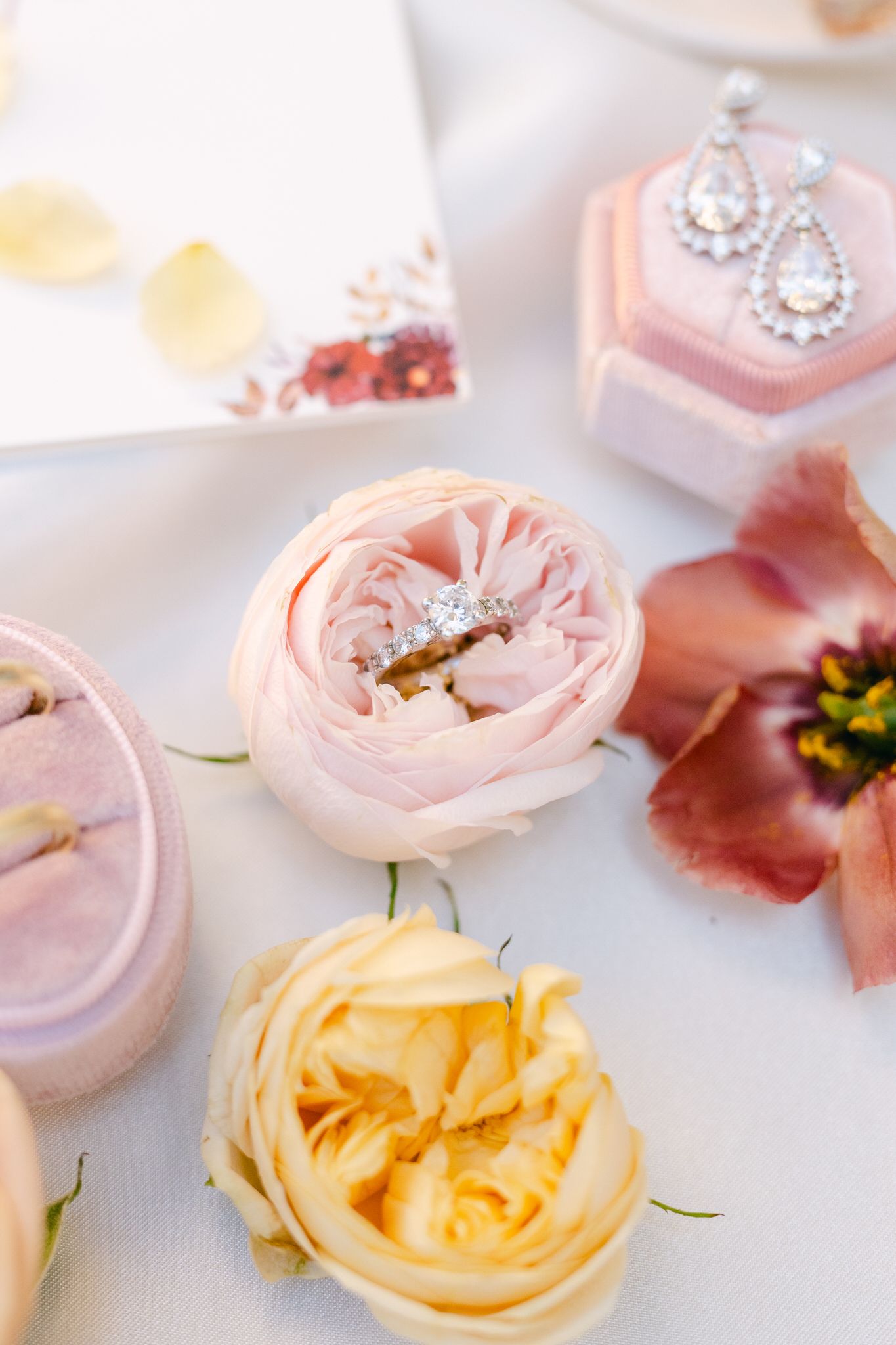Close-up of delicate pink and yellow garden roses with diamond jewelry accents on a light background.