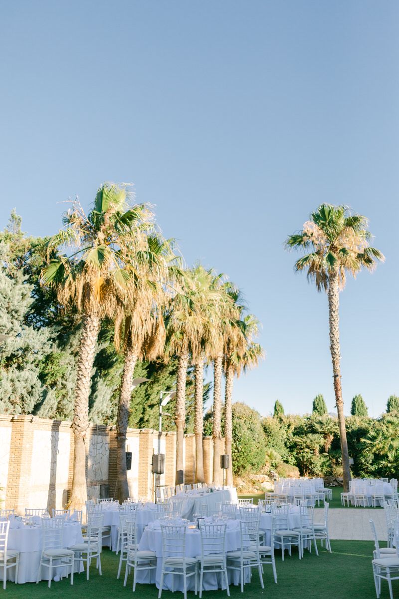 Elegant outdoor wedding venue setup with white chairs arranged on grass beneath towering palm trees against blue sky.