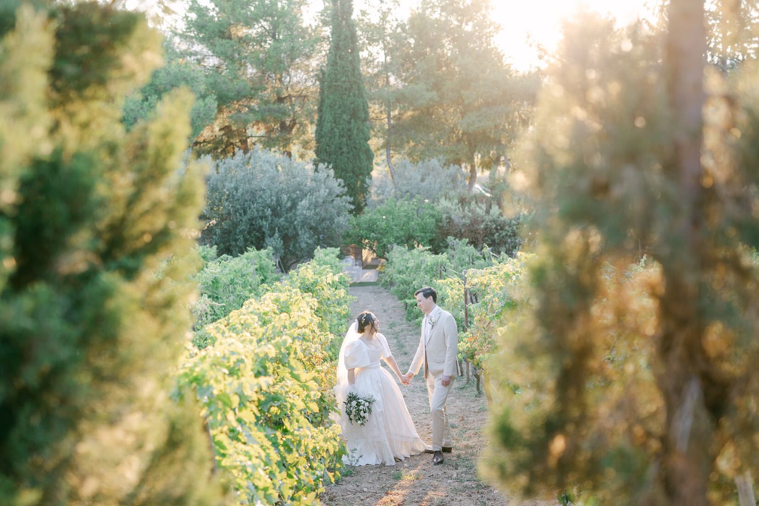 Sun streams through cypress trees onto a garden path framed by lush green vegetation. Κτήμα Λιάκος Liakos Estate Tonia and Theodore γάμος