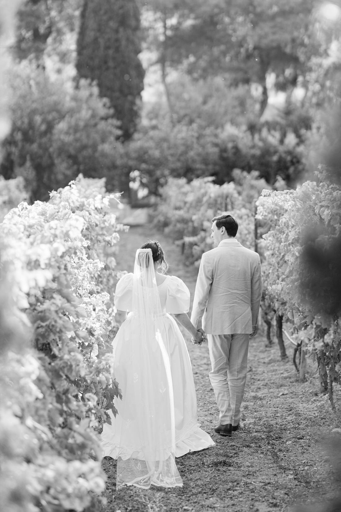 Black and white photo of newlyweds walking hand in hand through vineyard rows surrounded by lush grapevines.