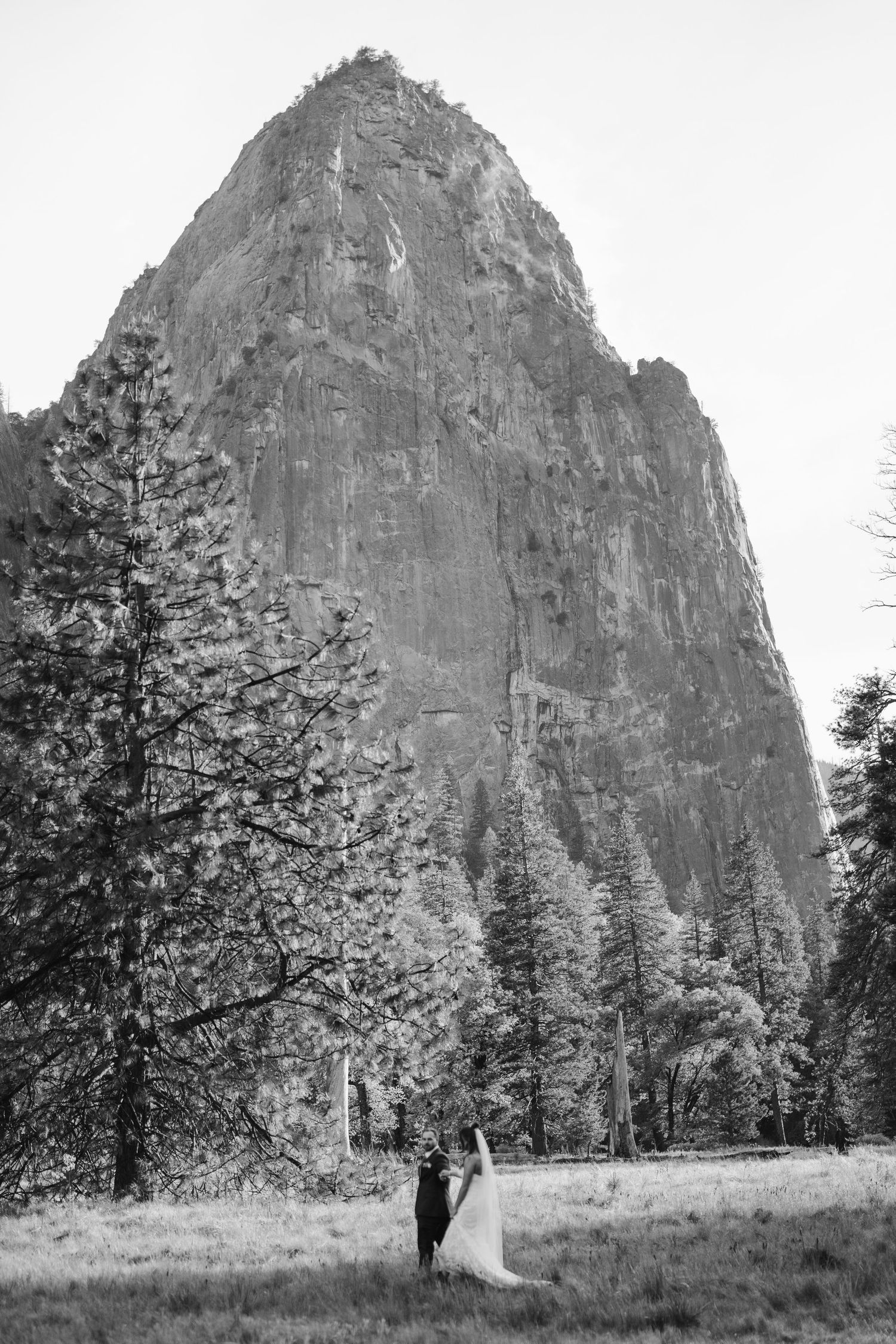 Yosemite Wedding Photos