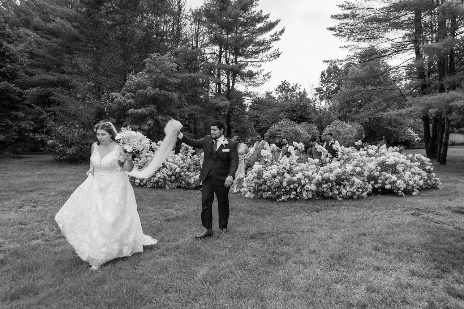 Wedding couple walks and dances on a grassy lawn with pine trees in the background.