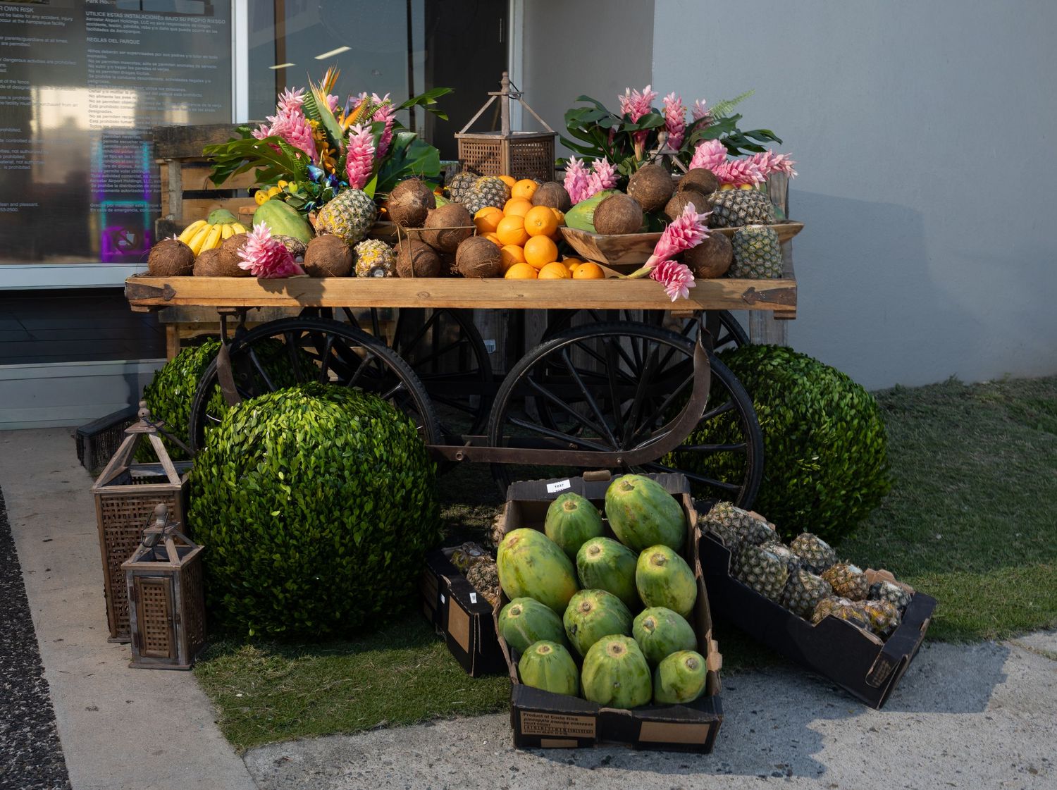 Display of tropical fruits and produce at outdoor market stand fro Jetblue.
