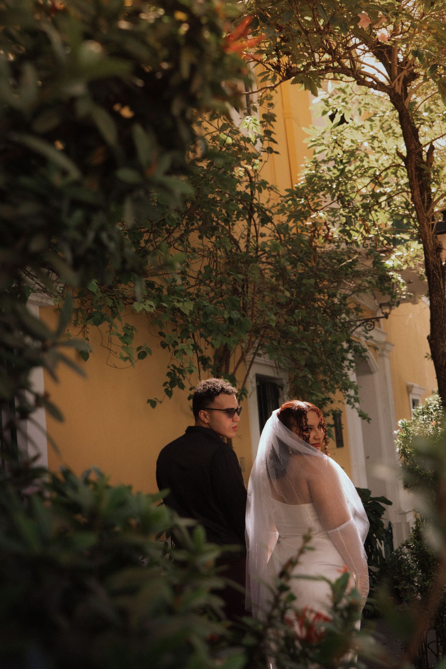A romantic moment captured through foliage at an outdoor wedding venue.