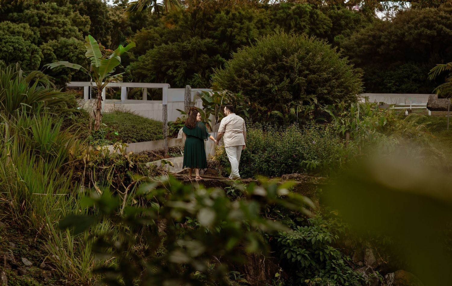Scenic garden pathway view with lush greenery and natural landscaping.