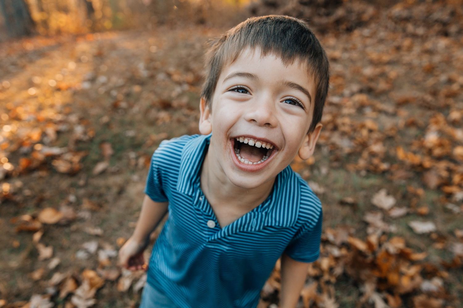 A series of five playful expressions captured in autumn with fallen leaves and blue striped shirt in natural lighting.