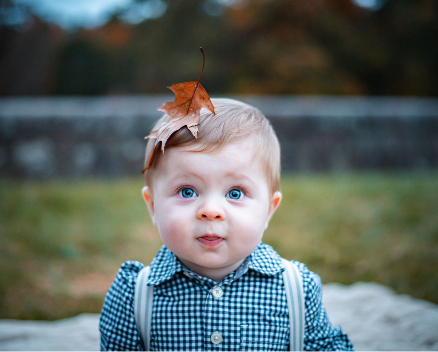 Baby in blue gingham outfit sitting outdoors during an autumn photoshoot.