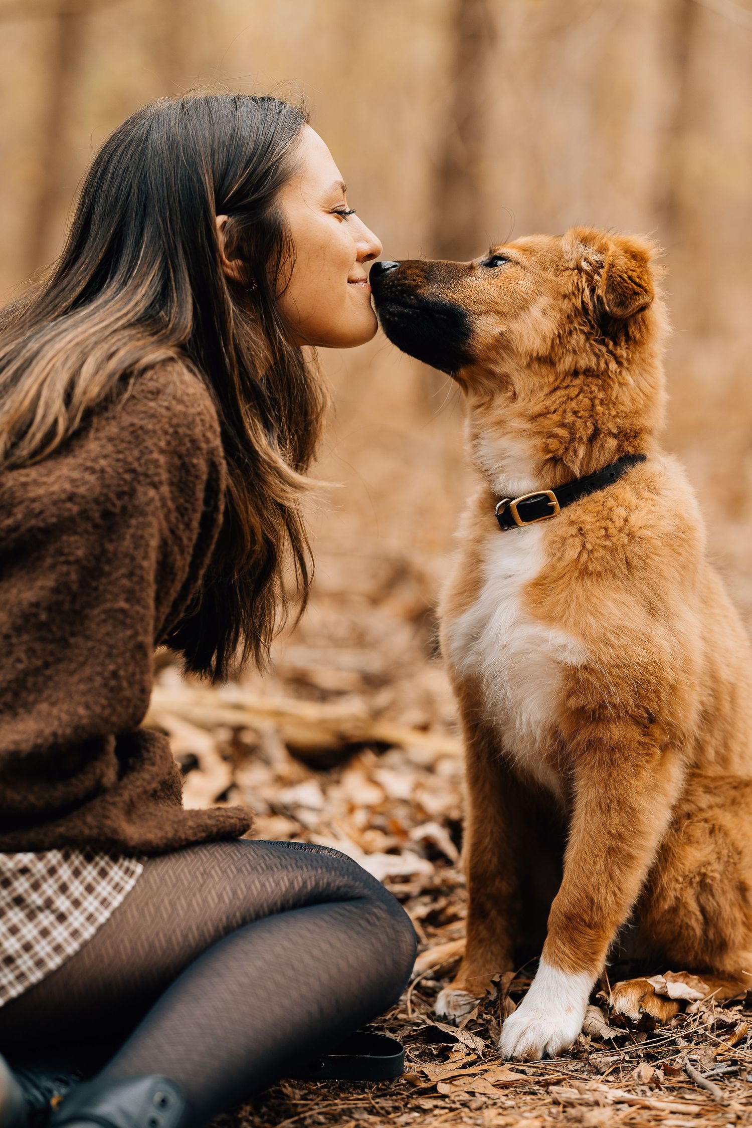 Young woman in brown sweater sharing a sweet nose kiss with her fluffy golden puppy in an autumn forest.