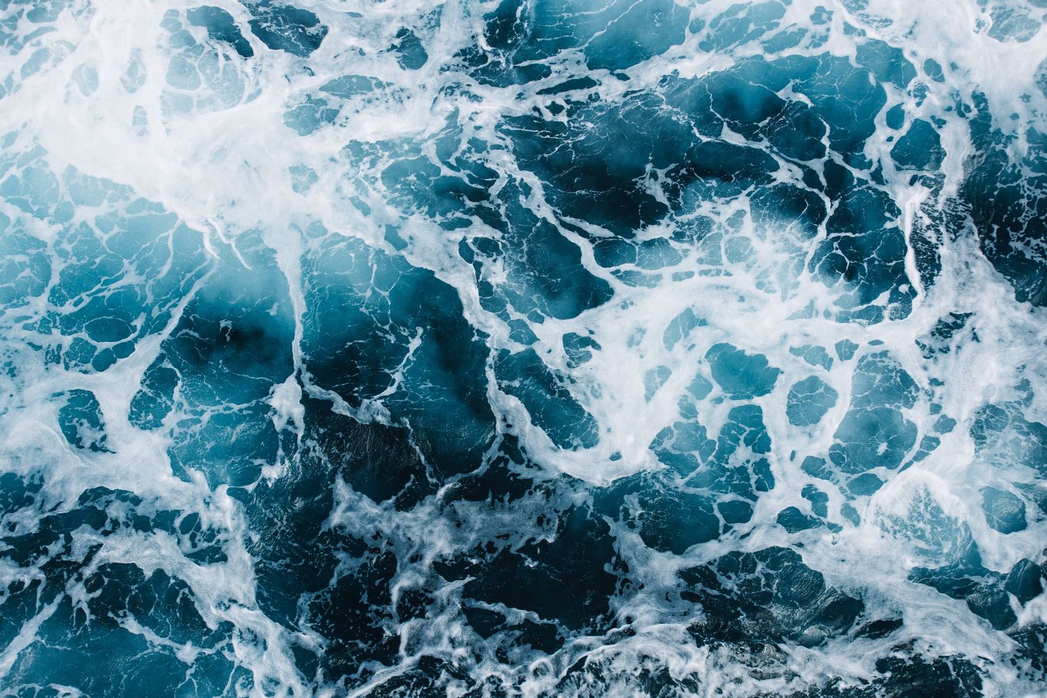 Dark blue ocean waves create dramatic white foam patterns on the water surface.