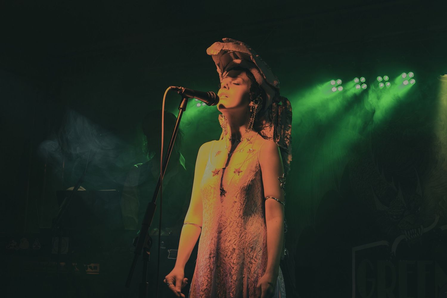 Singer performs on stage under dramatic green lighting during a live concert performance.