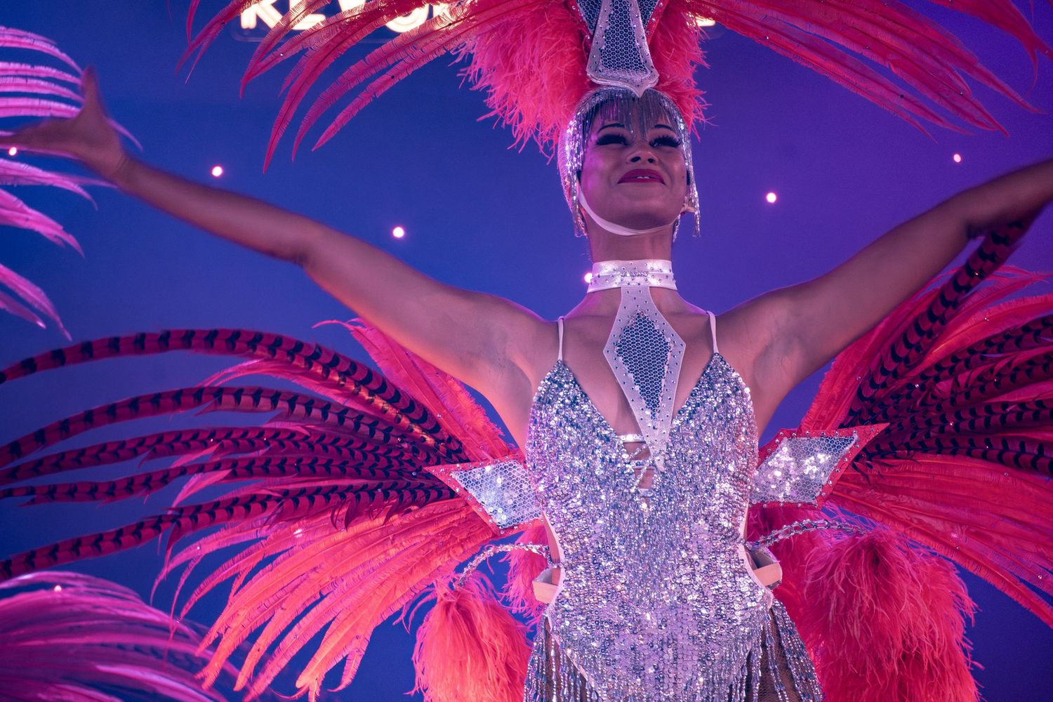 Dancers wearing elaborate pink feathered headpieces and crystal costumes perform on stage.