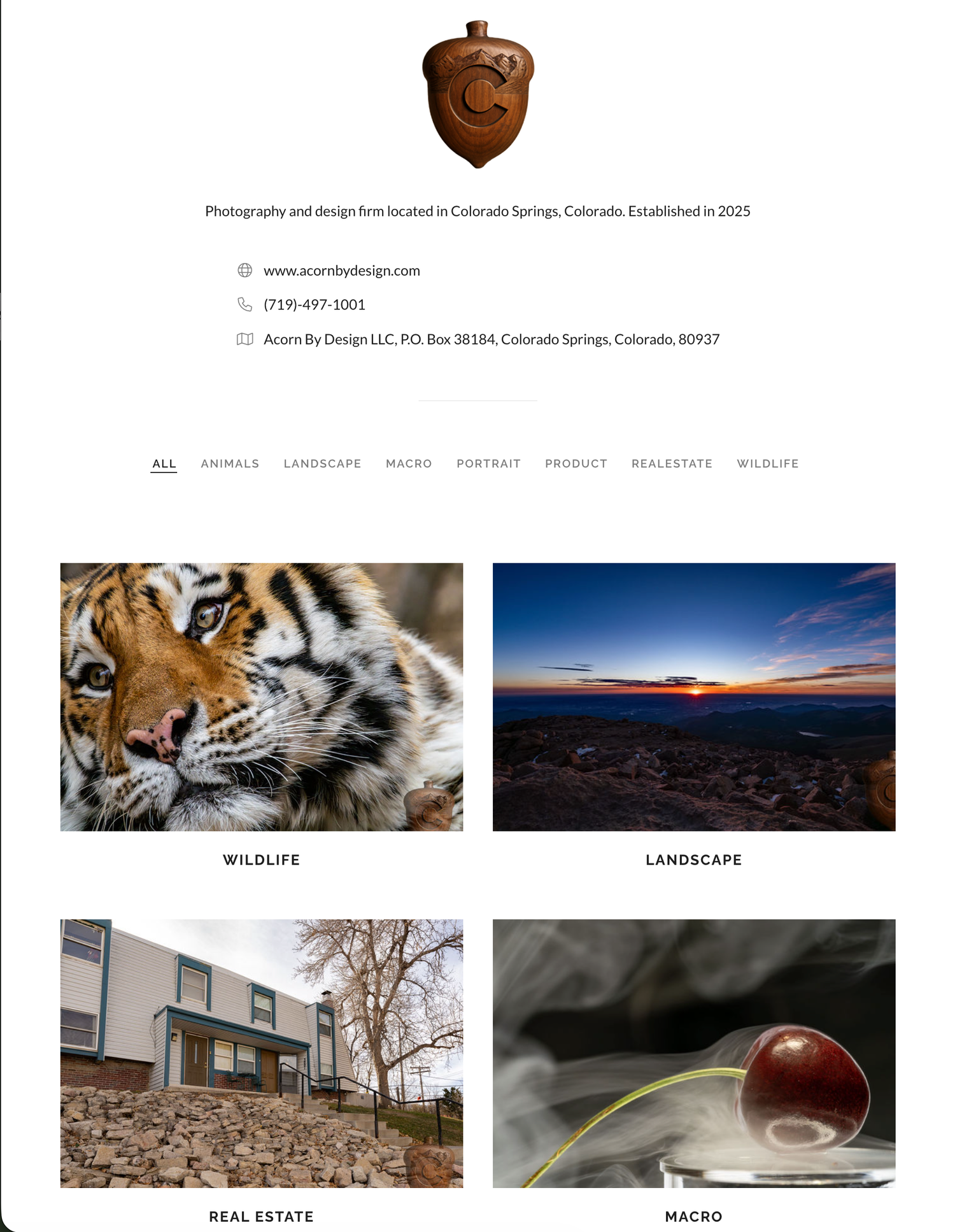 Website portfolio layout showing wildlife and landscape photography categories.