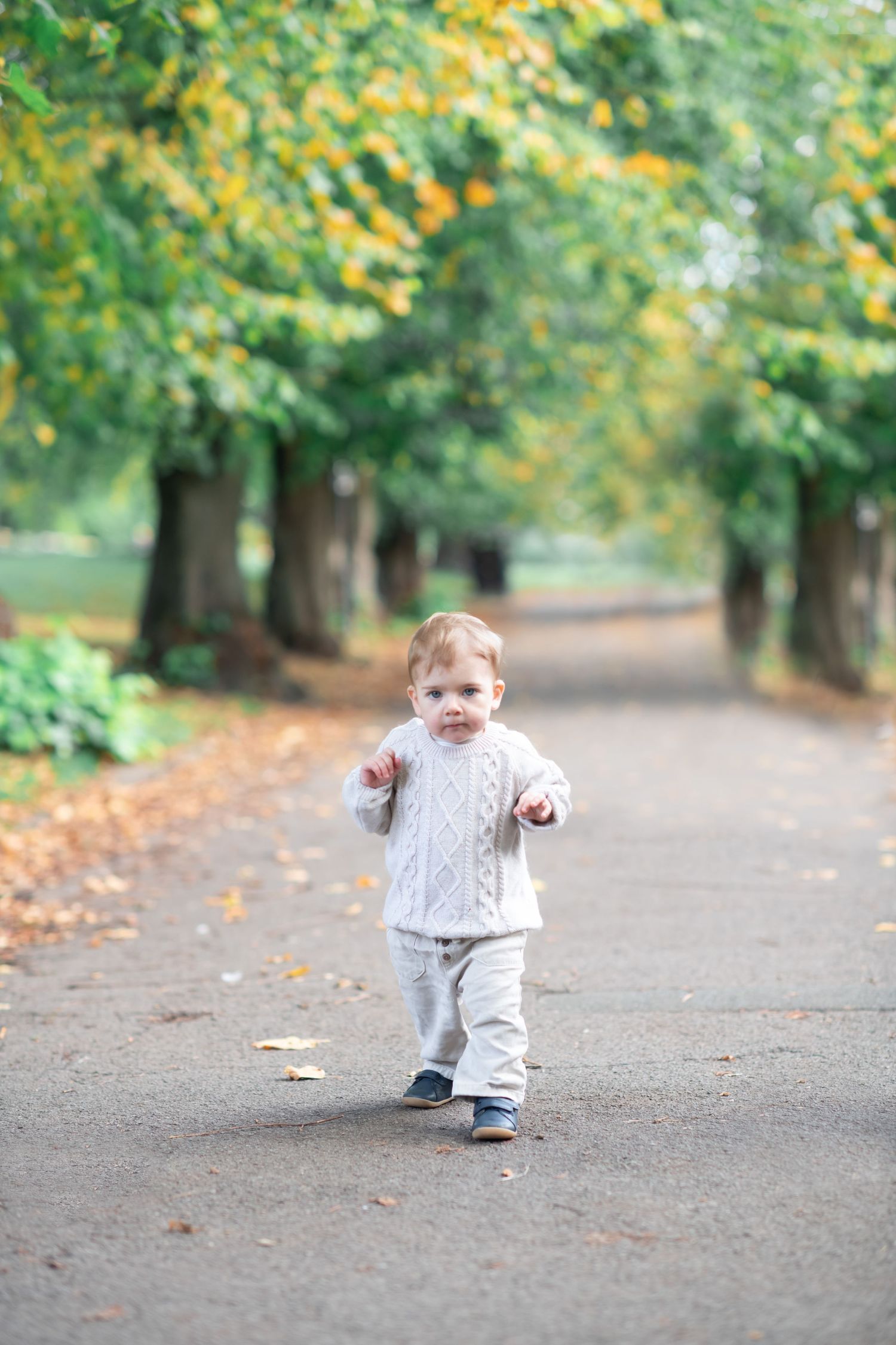 A small child in a gray sweater walks along a tree-lined path covered in autumn leaves.