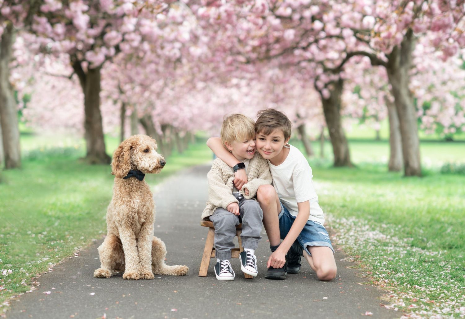 Two brothers cuddling with their dog whilst under cherry blossom trees
