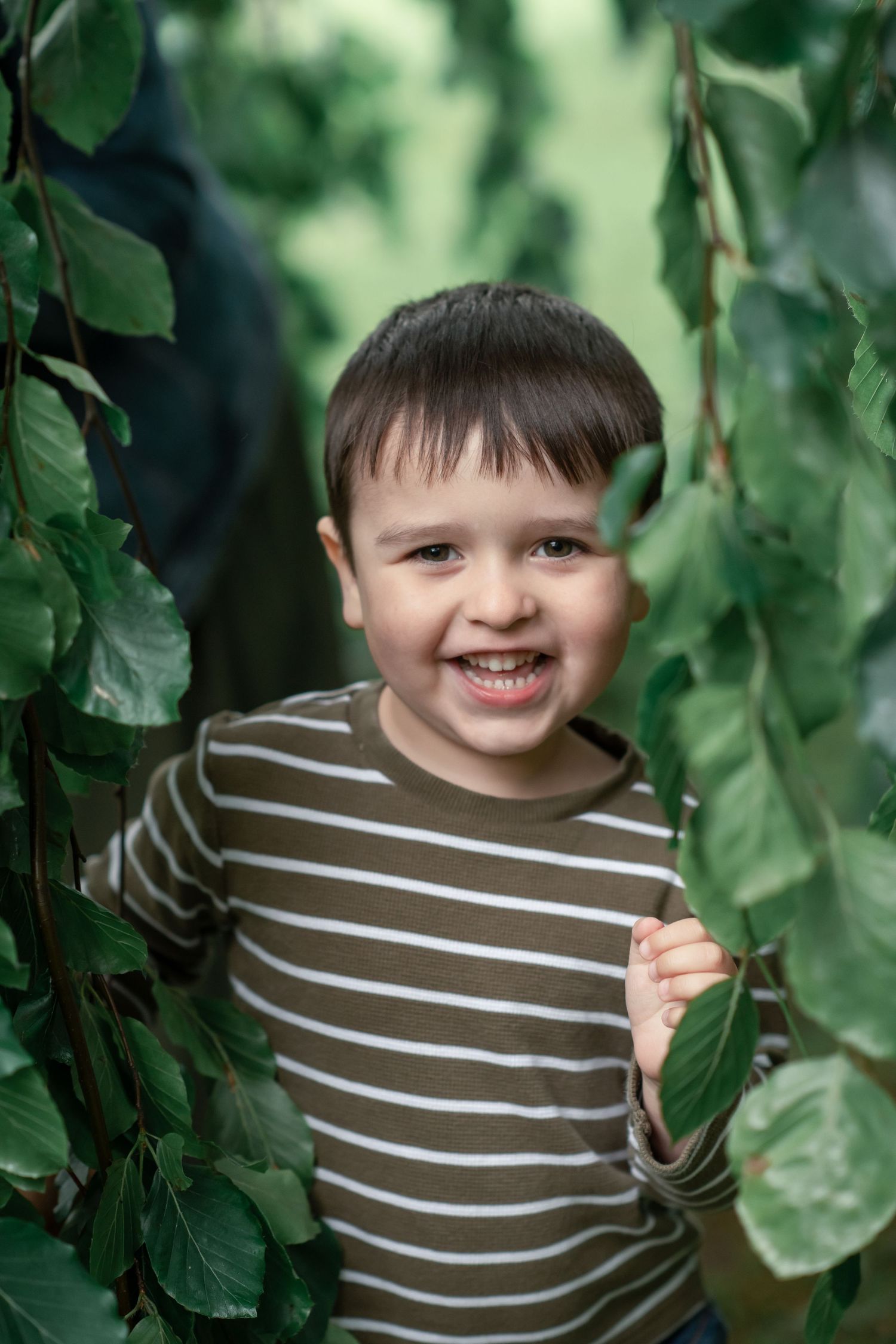 A young child plays amongst the trailing leaves and smiles whilst looking at the photographer.