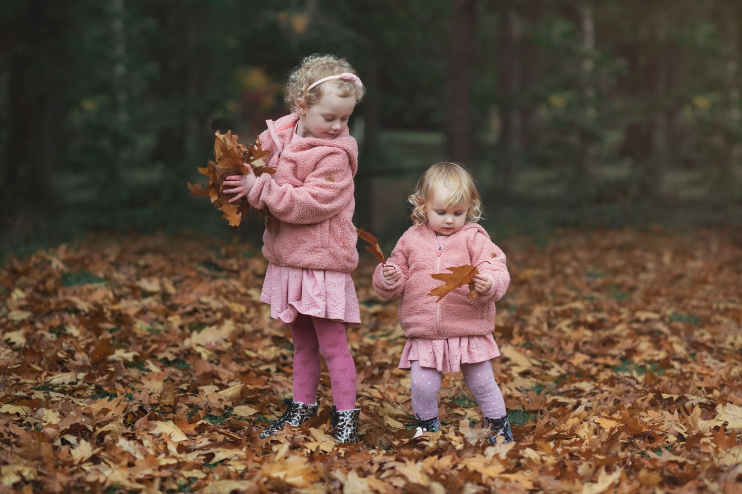 Two sisters throwing Autumn leaves around