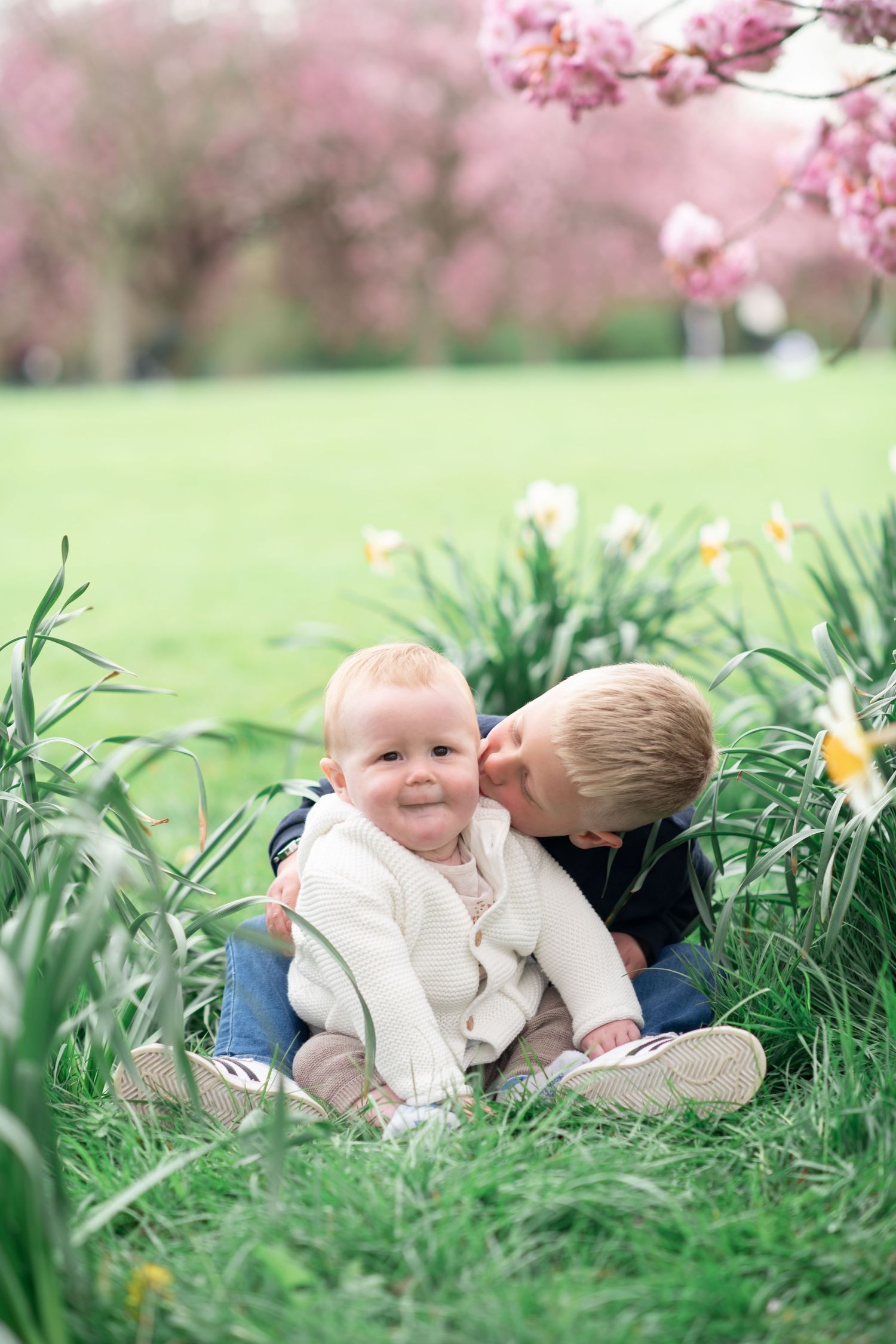 A boy kisses his baby brother whilst sat amongst the daffodils.