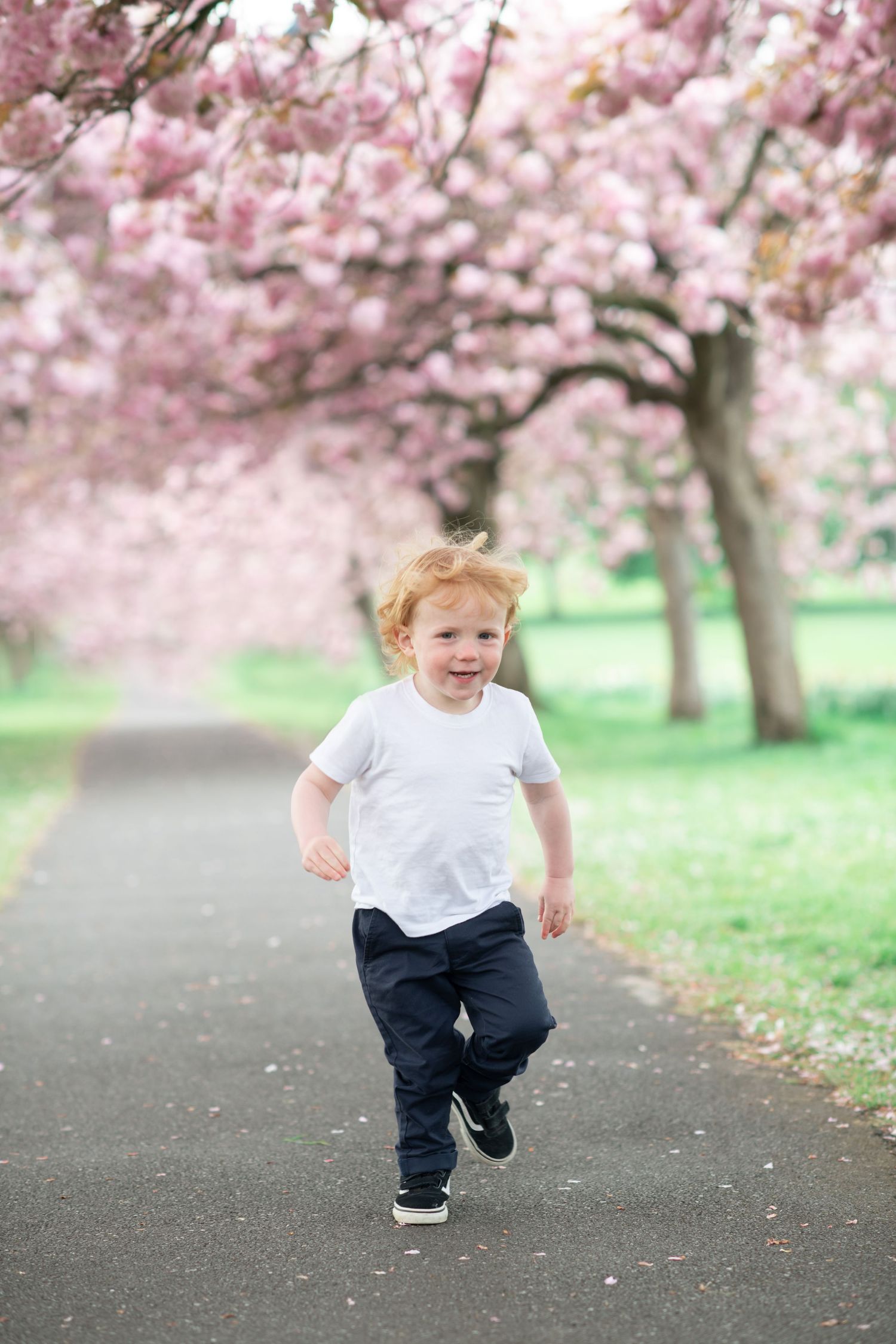 A small child runs joyfully beneath blooming pink cherry blossom trees on a spring day.