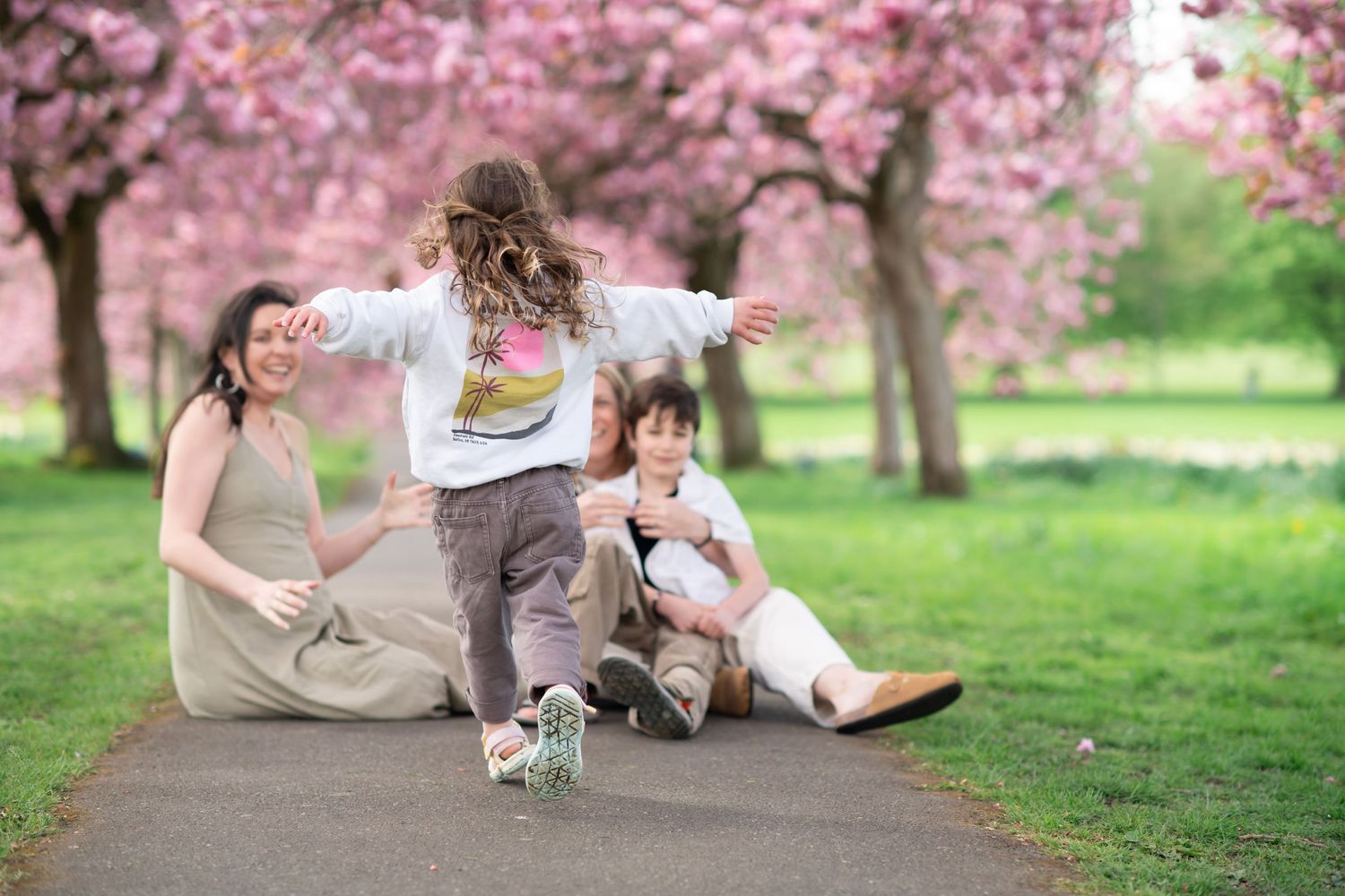 Family enjoying spring day under pink cherry blossom trees, children playing on path in blooming park.