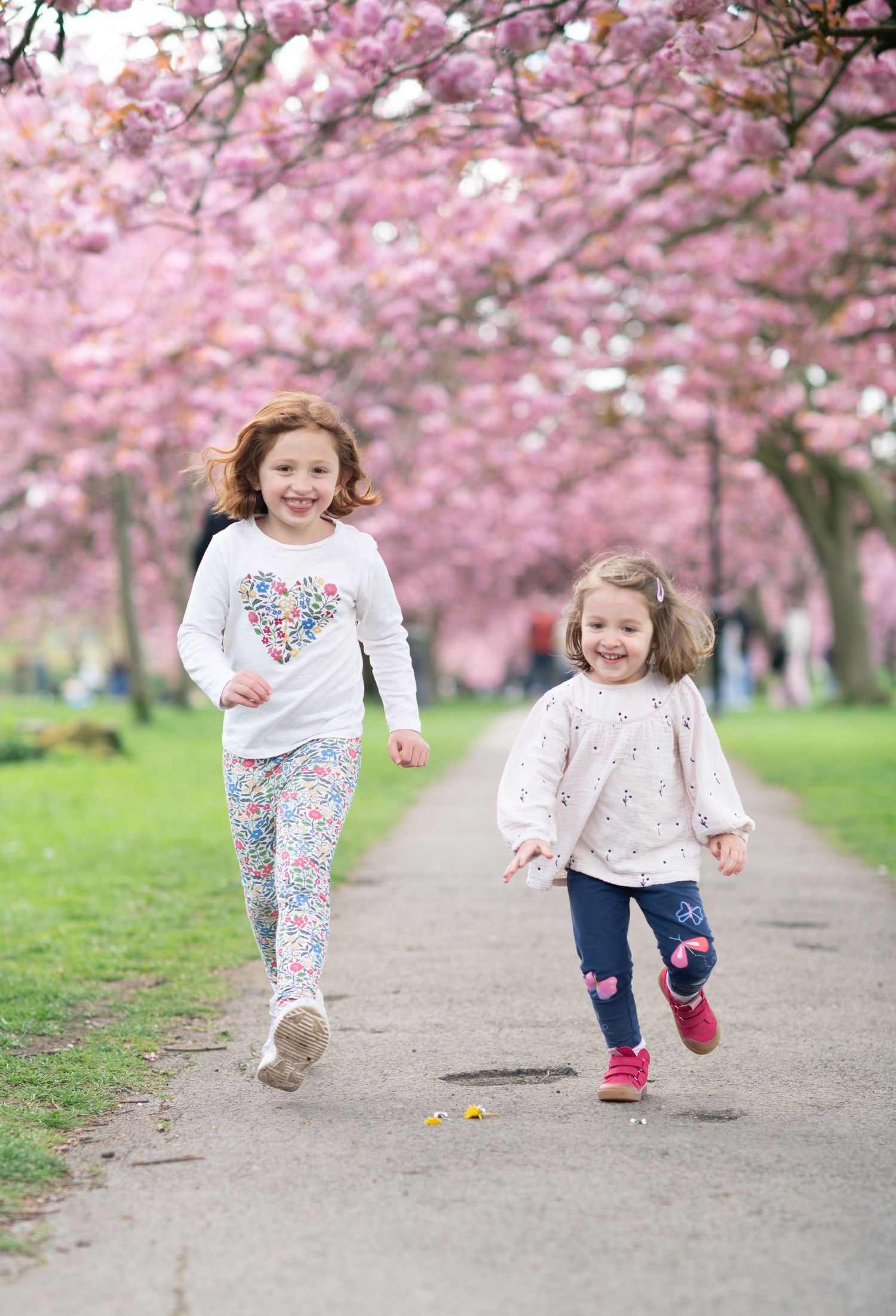 Two young girls running joyfully along a path lined with pink cherry blossom trees in a park.