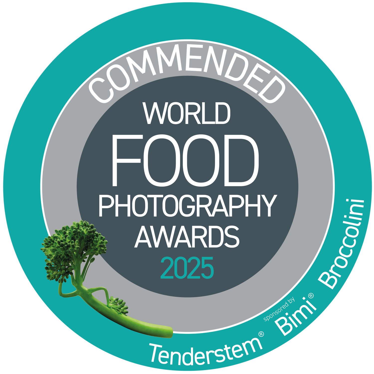 Wold Photography Awards 2025 - Commended