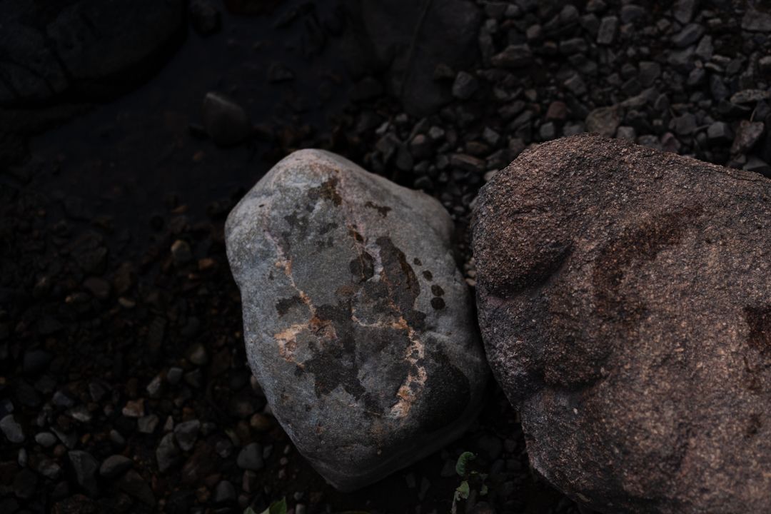Close-up view of smooth dark rocks resting on black soil in dim lighting.
