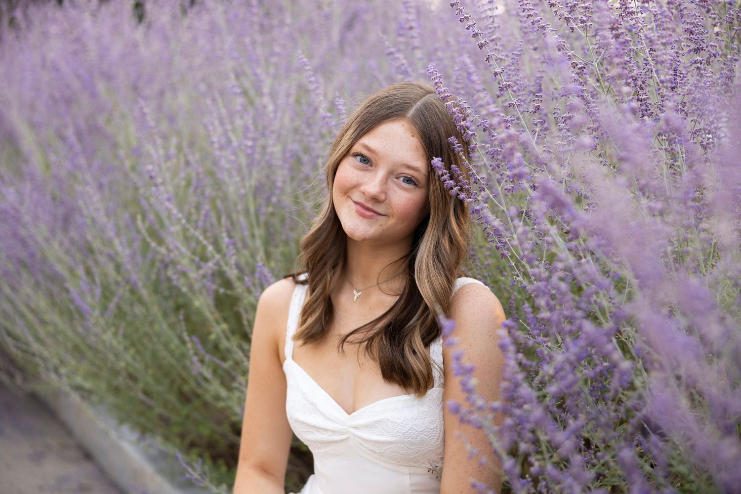 A portrait session sitting in a blooming lavender field on a sunny day at George Eastman House for Rochester NY senior portaits.