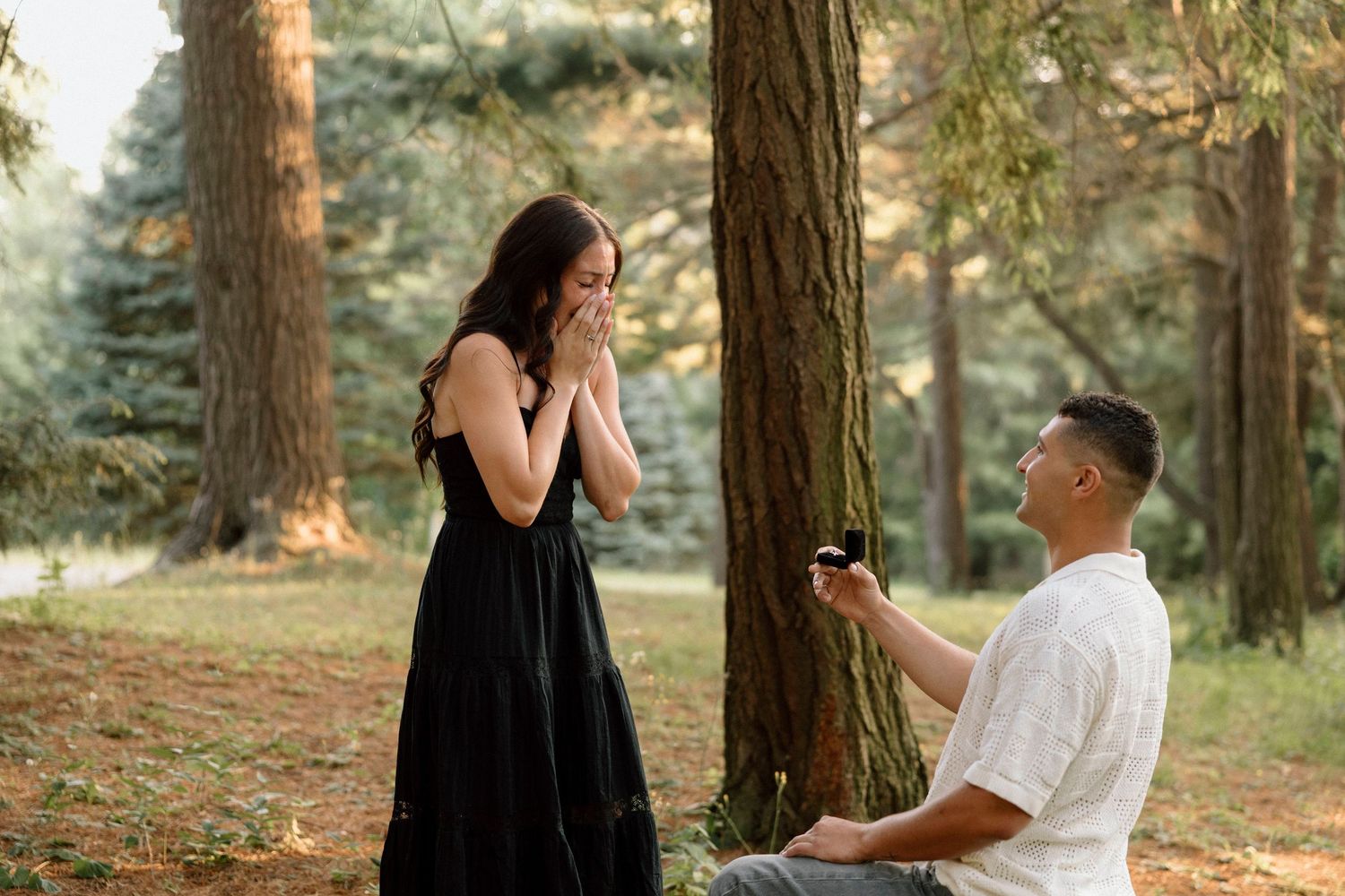 Surprise proposal moment captured in forest setting with sunlit trees at Highland Park, Rochester, NY proposal.