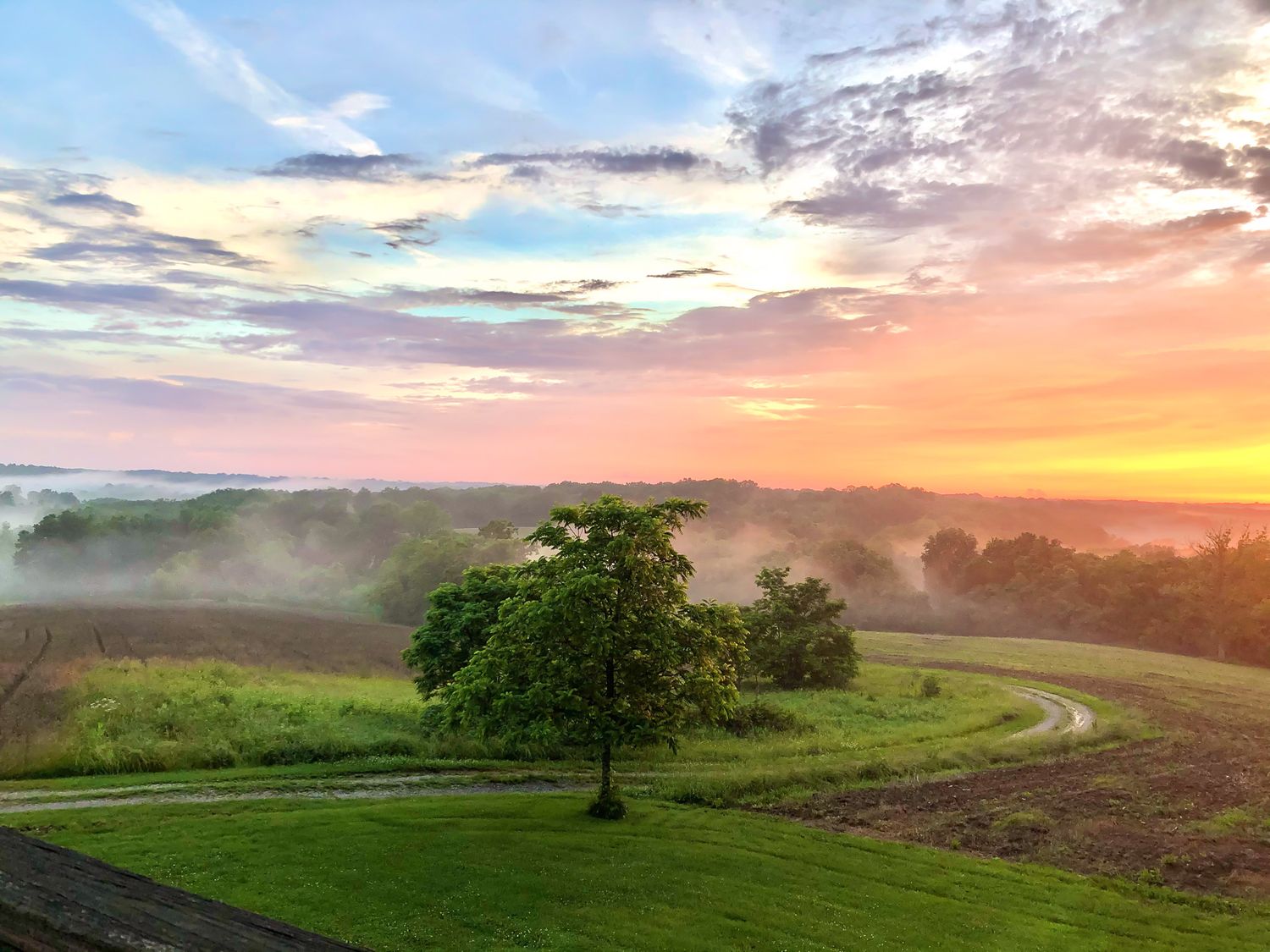 Beautiful panoramic landscape of rolling hills and trees at sunset with colorful sky.