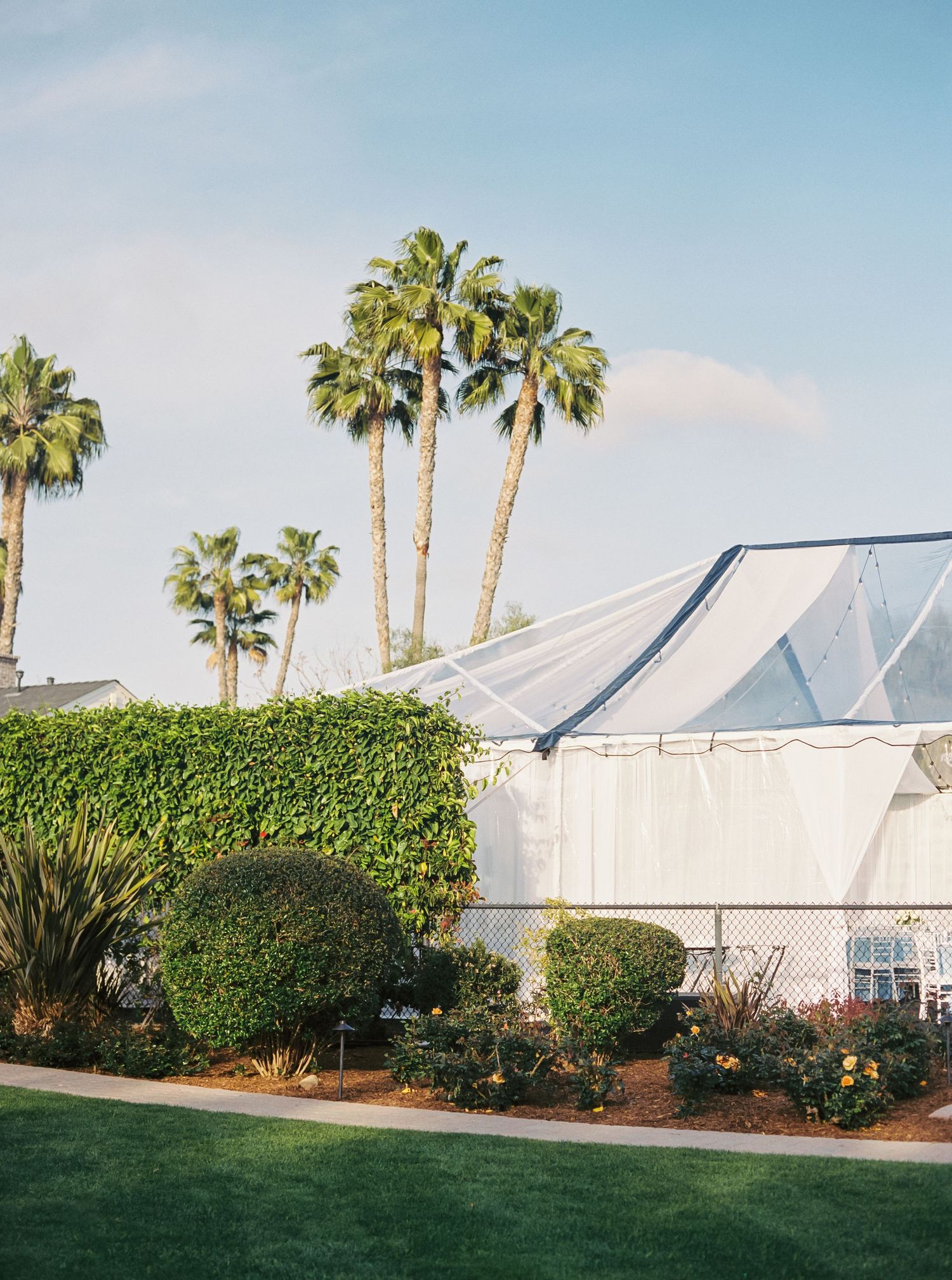 A row of white wedding tents set up outdoors with palm trees and landscaping visible against a blue sky.