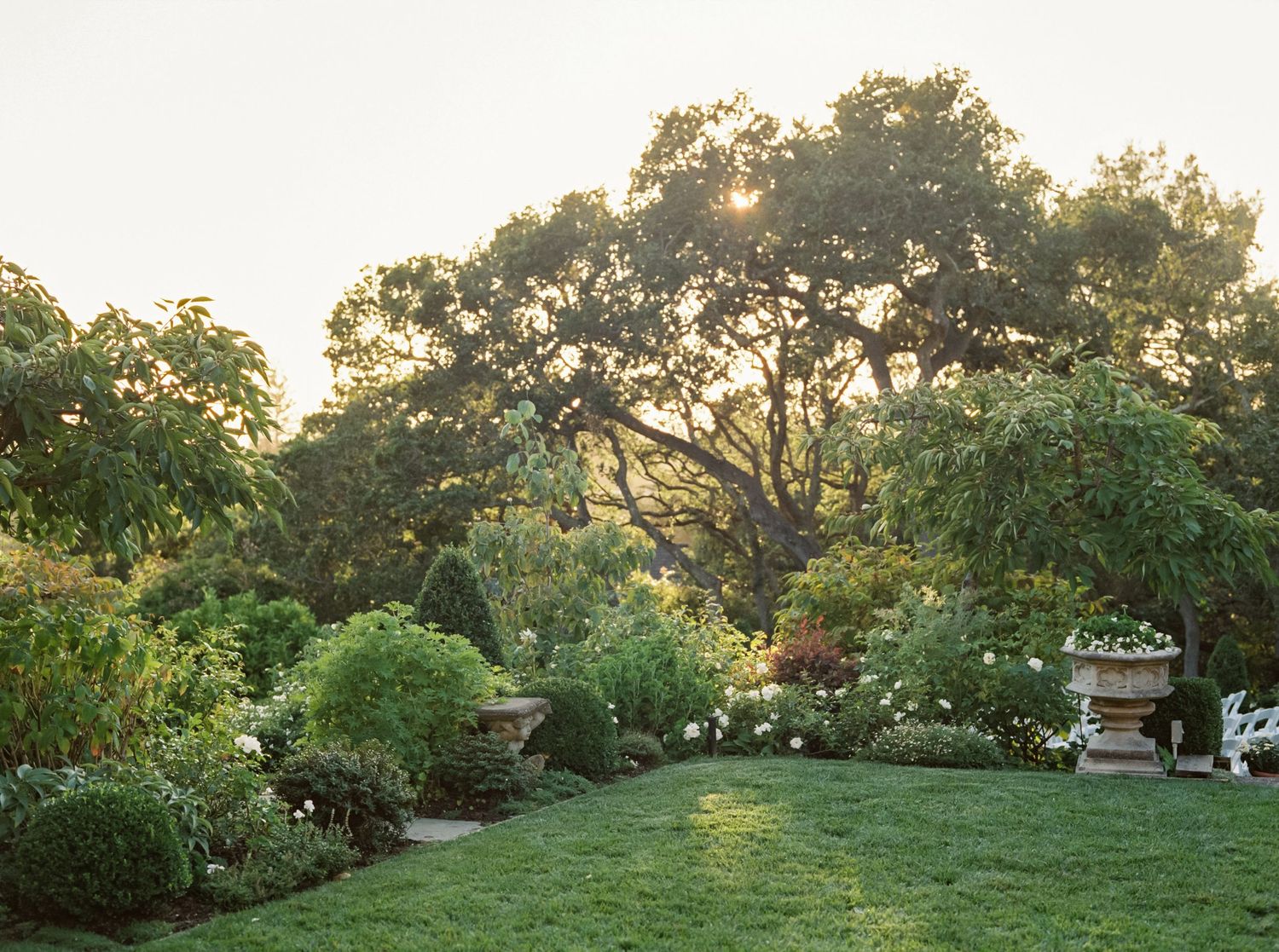 Panoramic view of a lush green garden landscape with trees and shrubs at sunset.