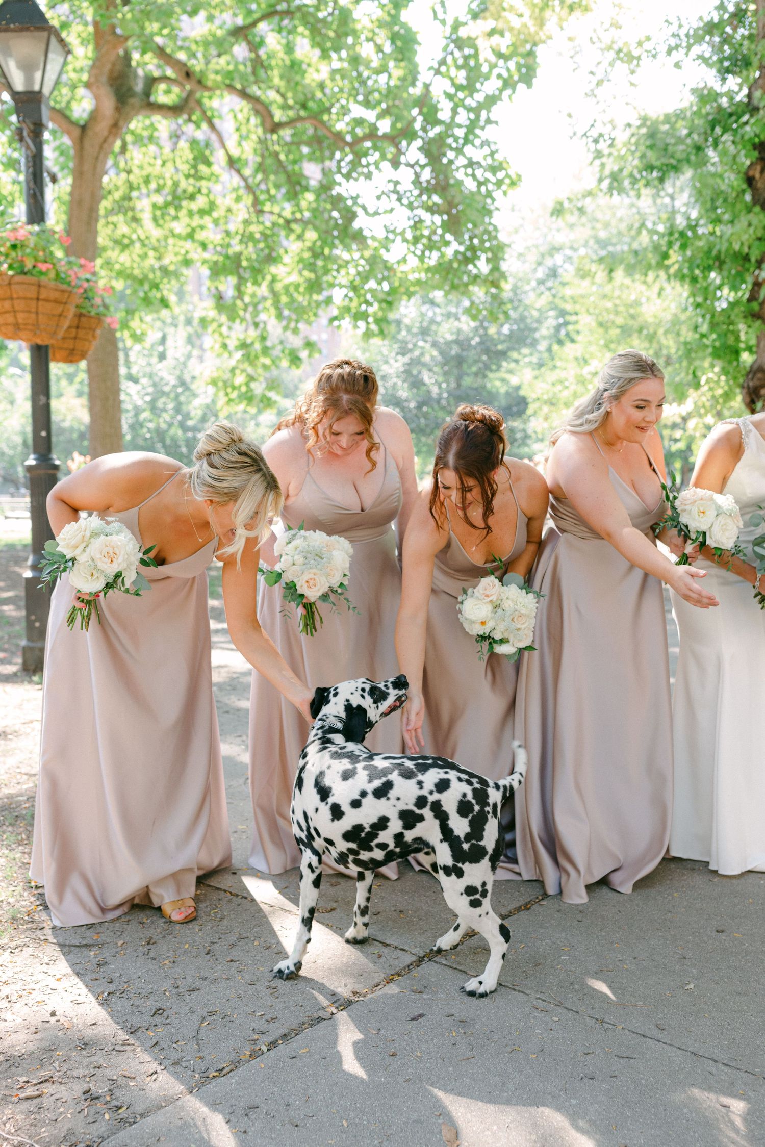 Bridesmaids in blush gowns interact playfully with a dalmatian dog during wedding photos.