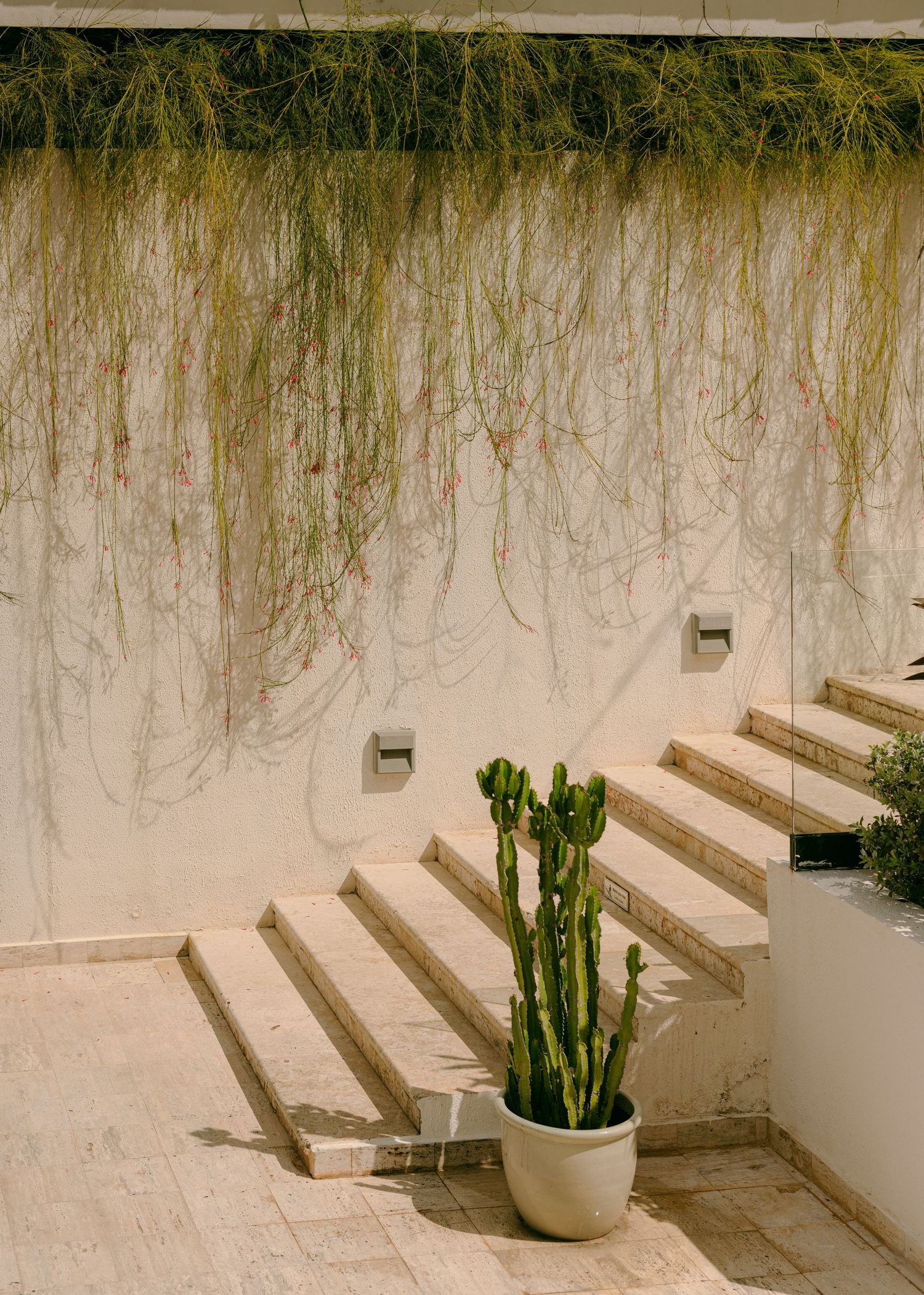 Minimalist white staircase with cascading plants and a potted cactus creates a serene indoor garden atmosphere.