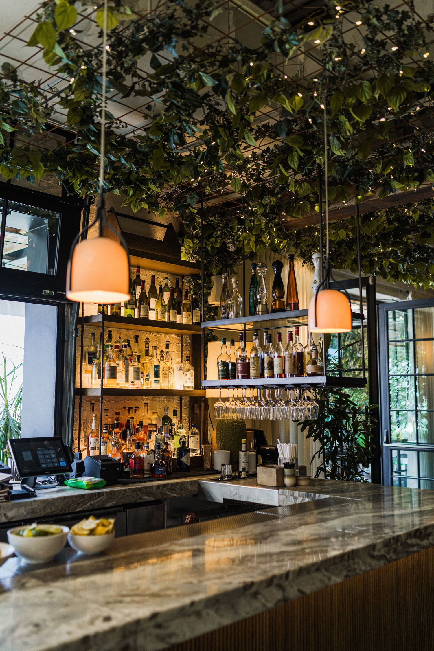 Modern bar interior with hanging pendant lights and leafy decor overhead.